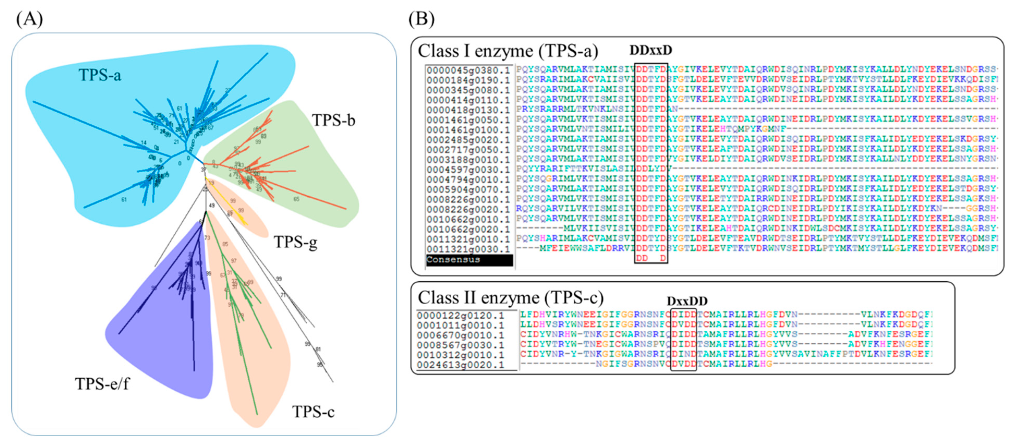 Agronomy 13 01632 g001