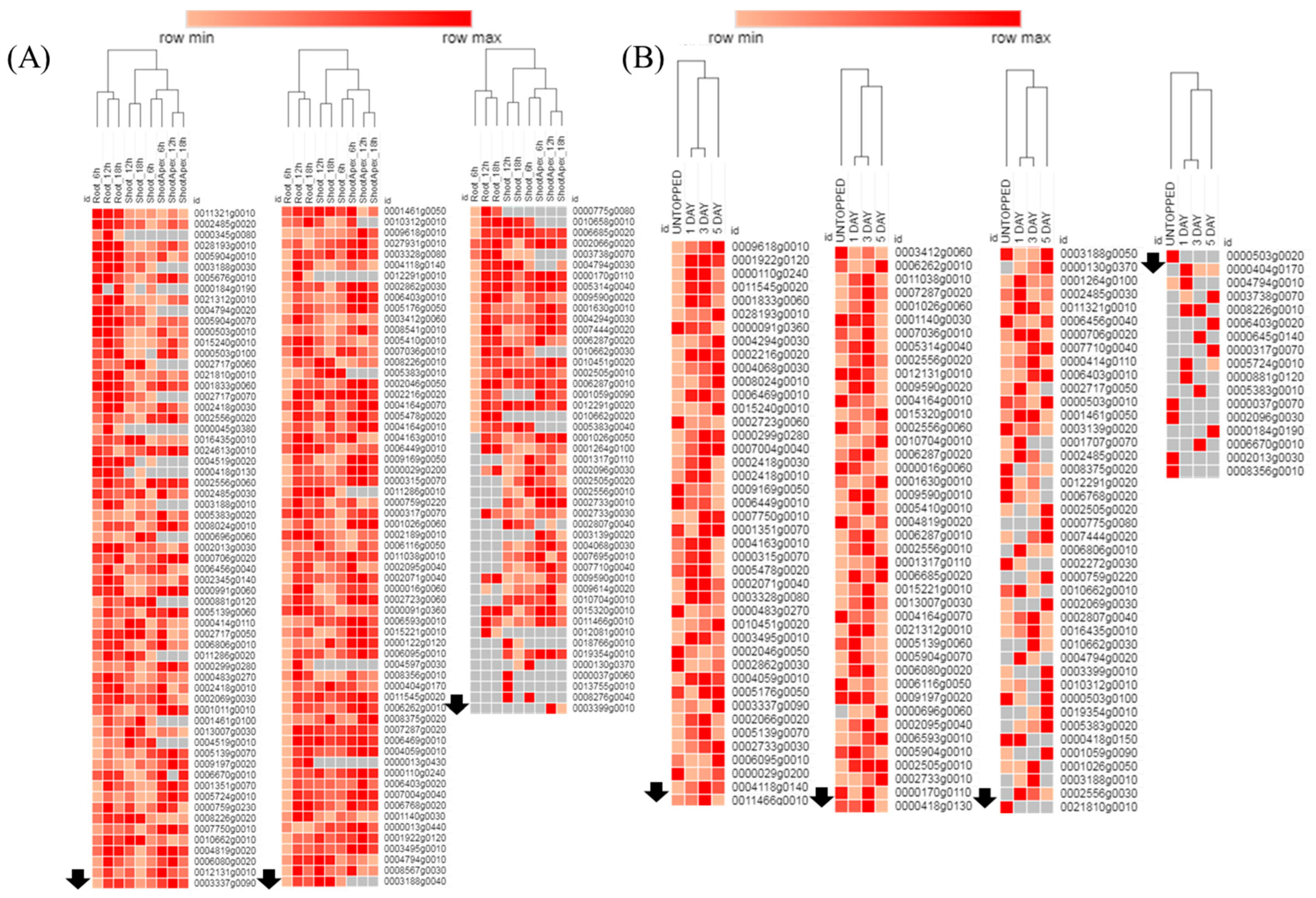 Agronomy 13 01632 g002