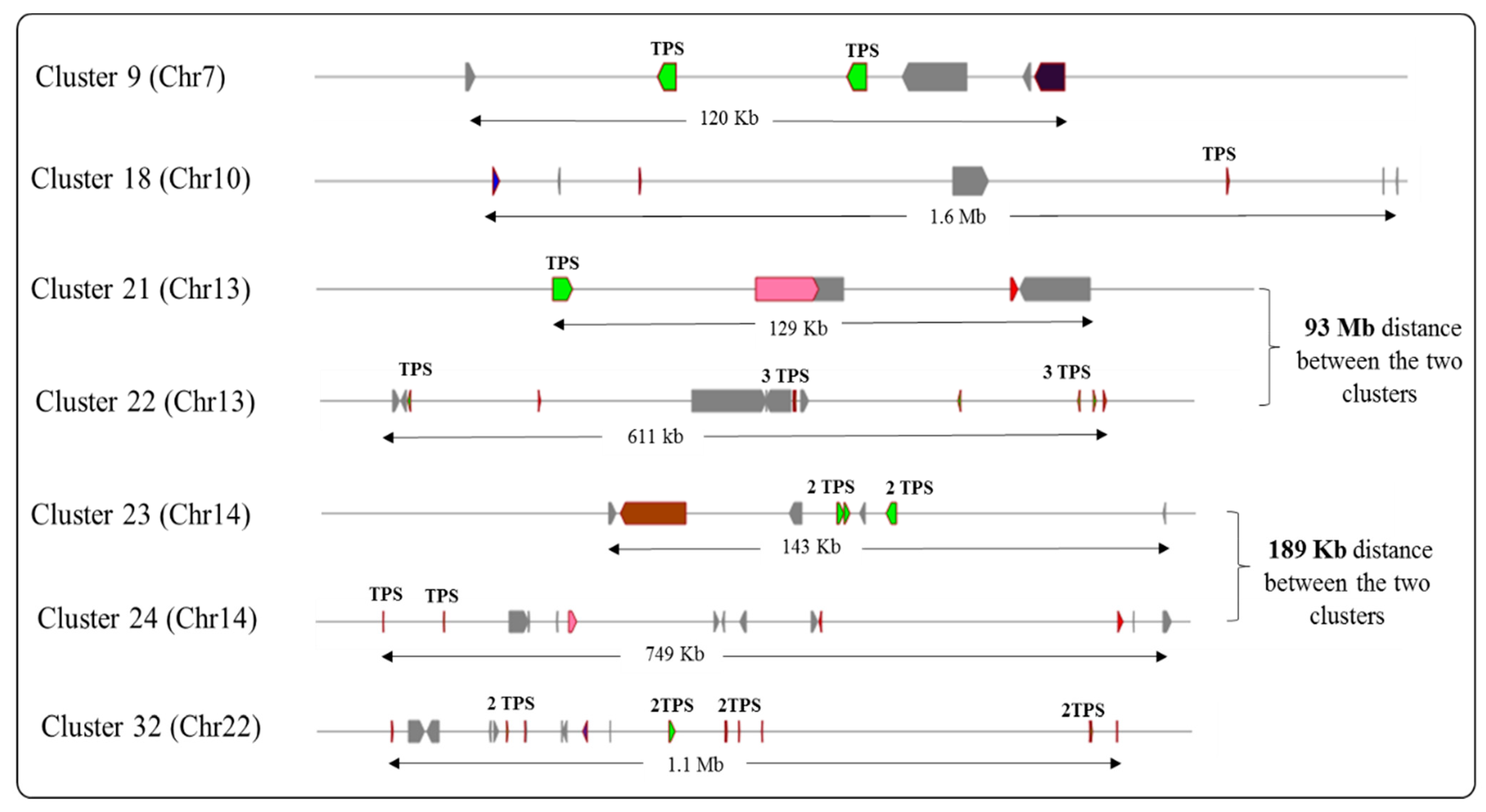 Agronomy 13 01632 g004
