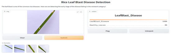 Agronomy 13 01633 g006