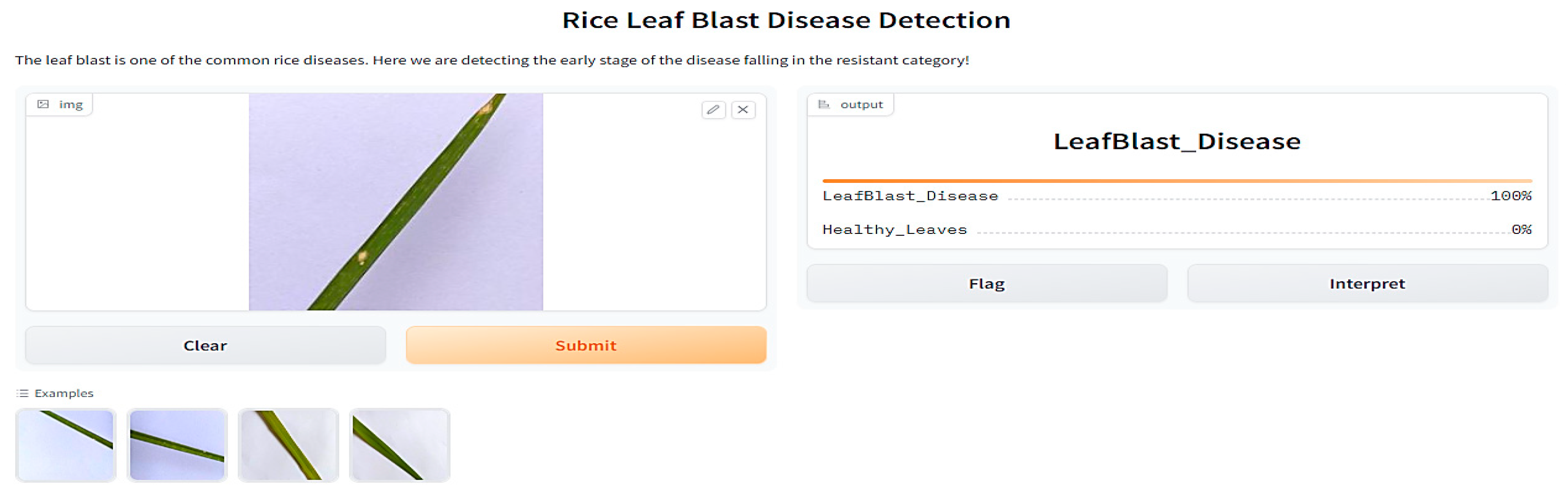 Agronomy 13 01633 g006