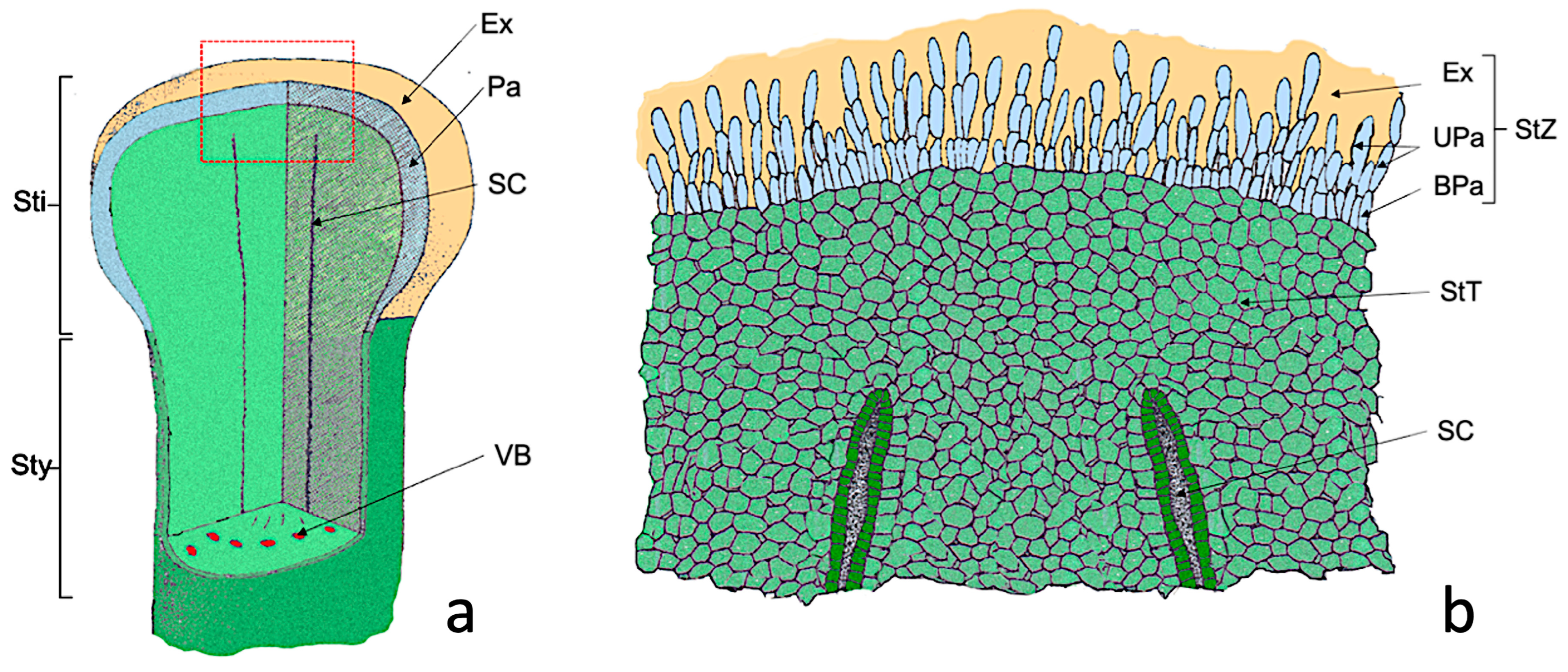 Agronomy 13 01643 g001