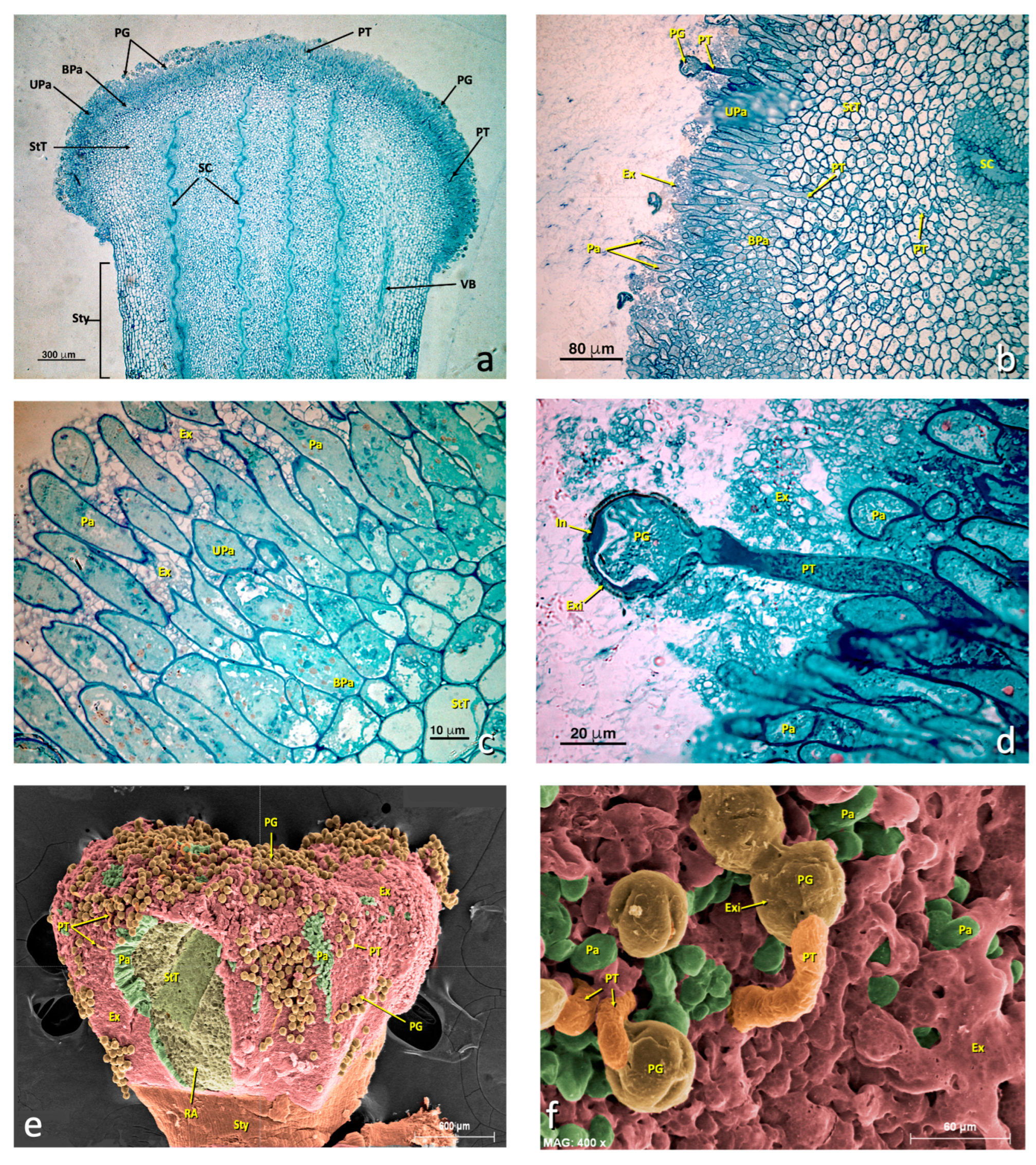 Agronomy 13 01643 g003