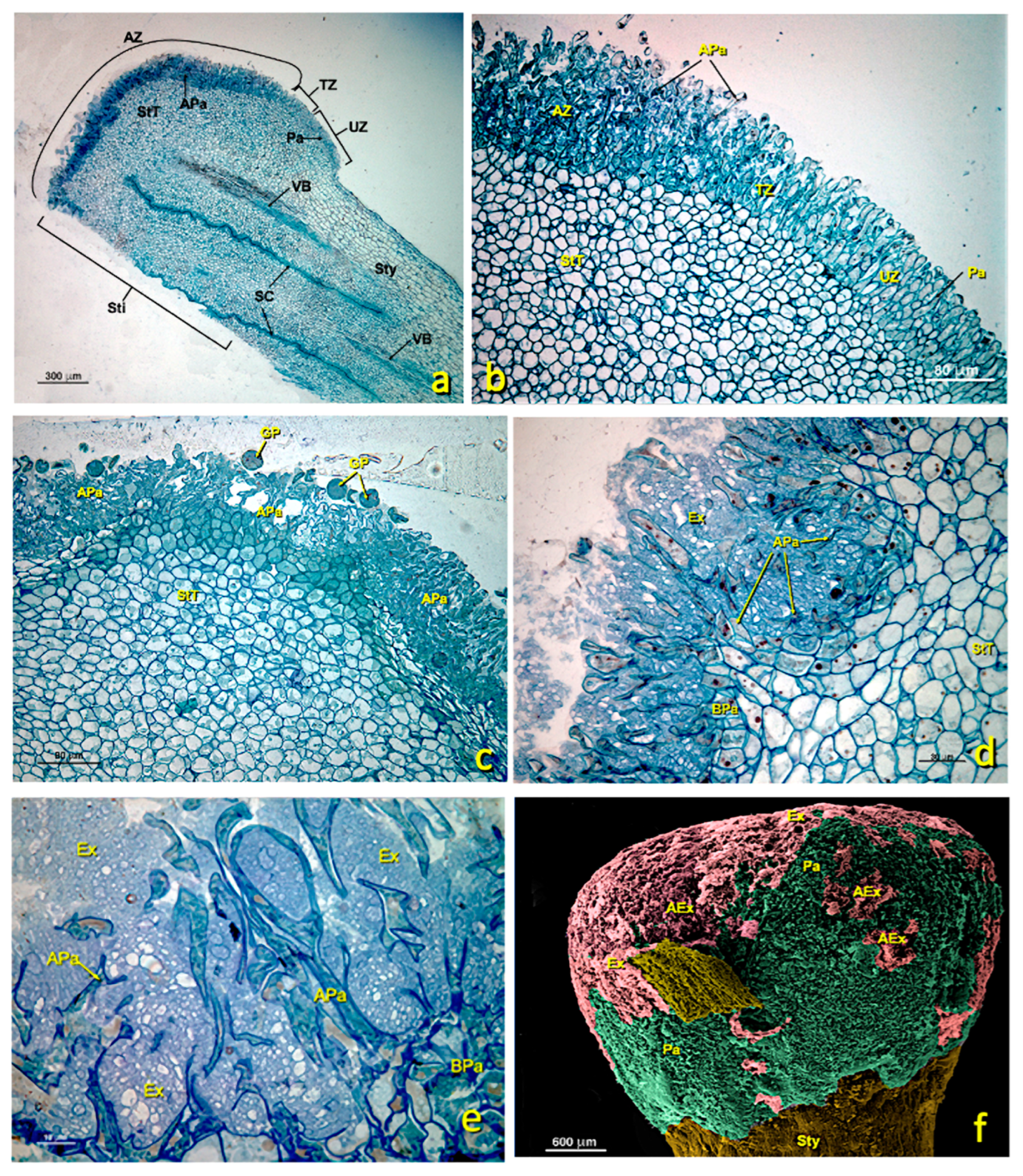 Agronomy 13 01643 g004