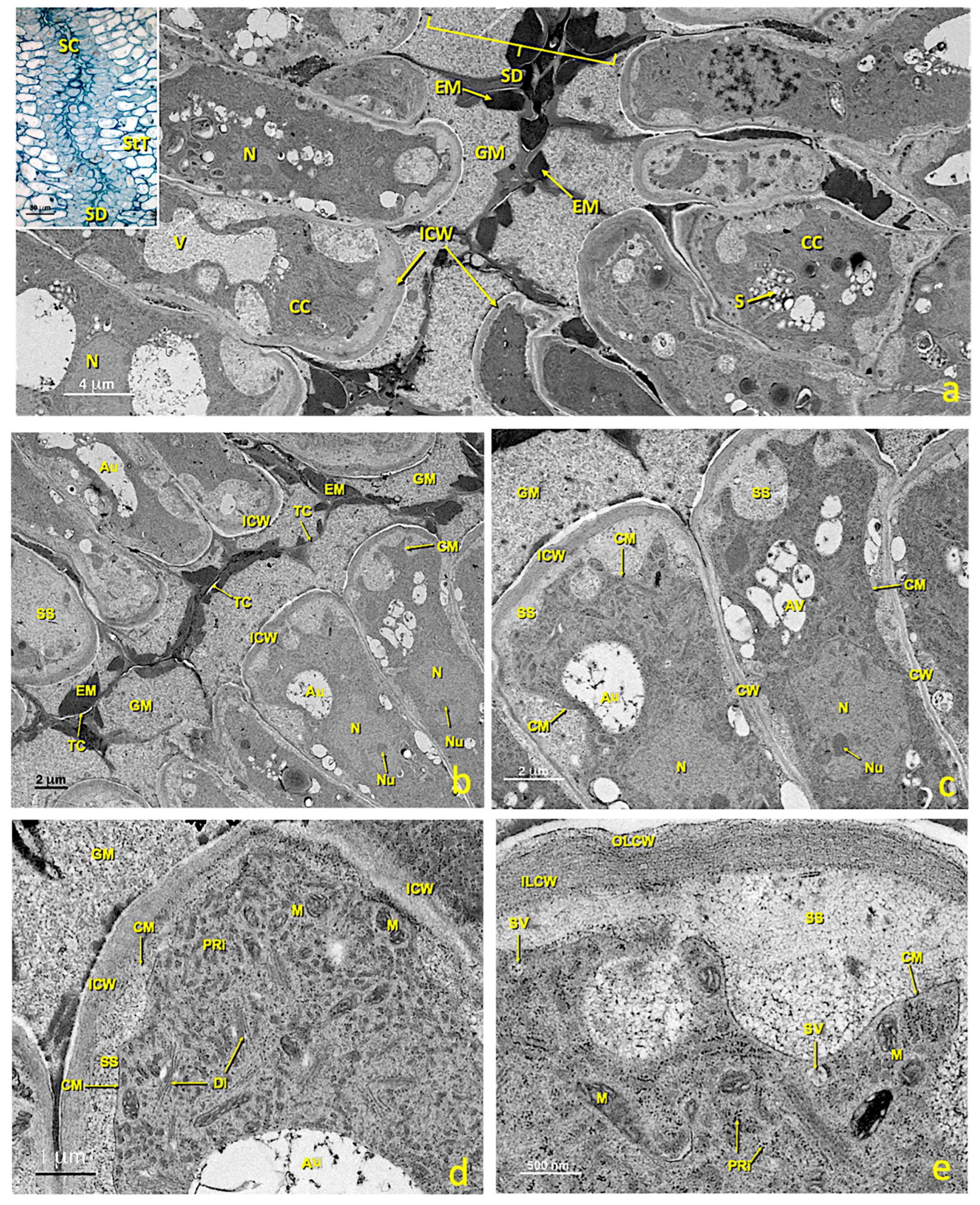 Agronomy 13 01643 g010