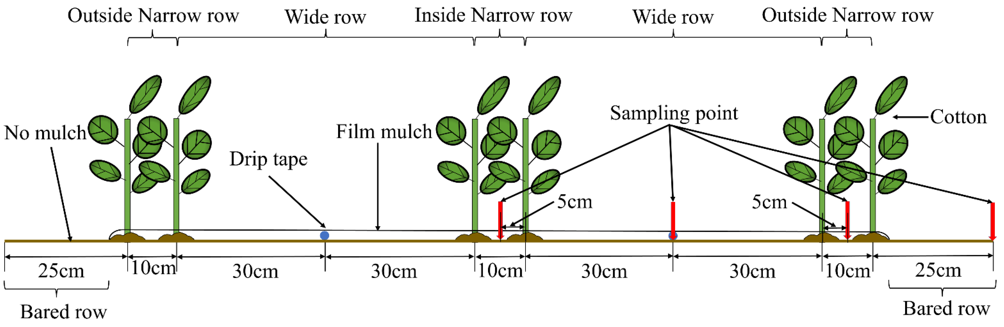 Agronomy 13 01644 g004 Agronomy 13 01644 g004