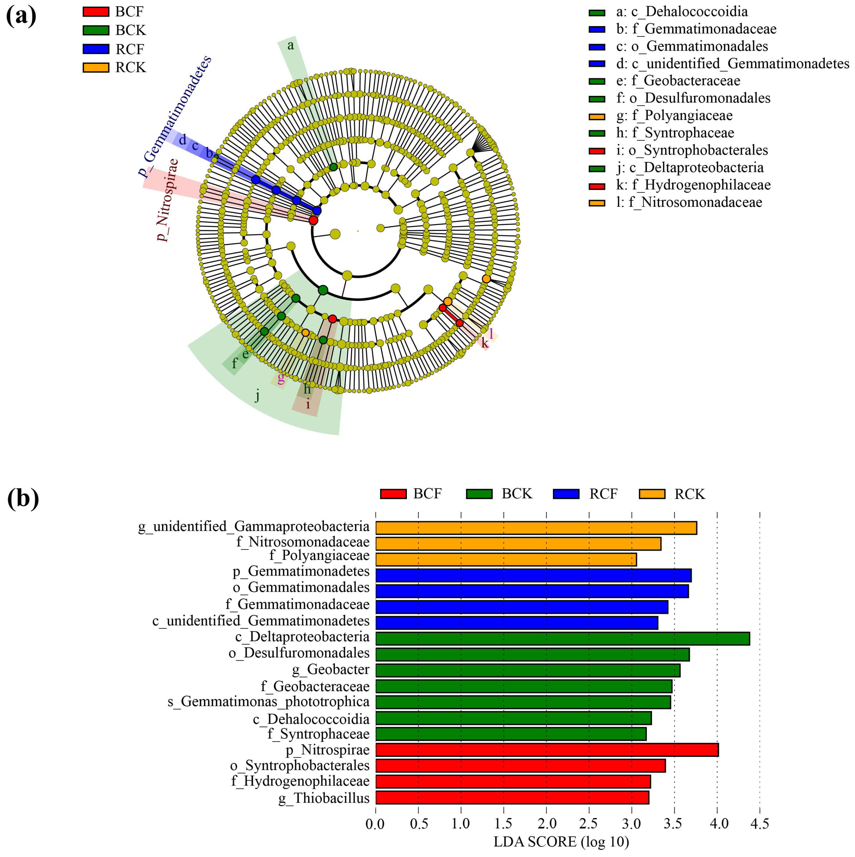 Agronomy 13 01645 g004 Agronomy 13 01645 g004