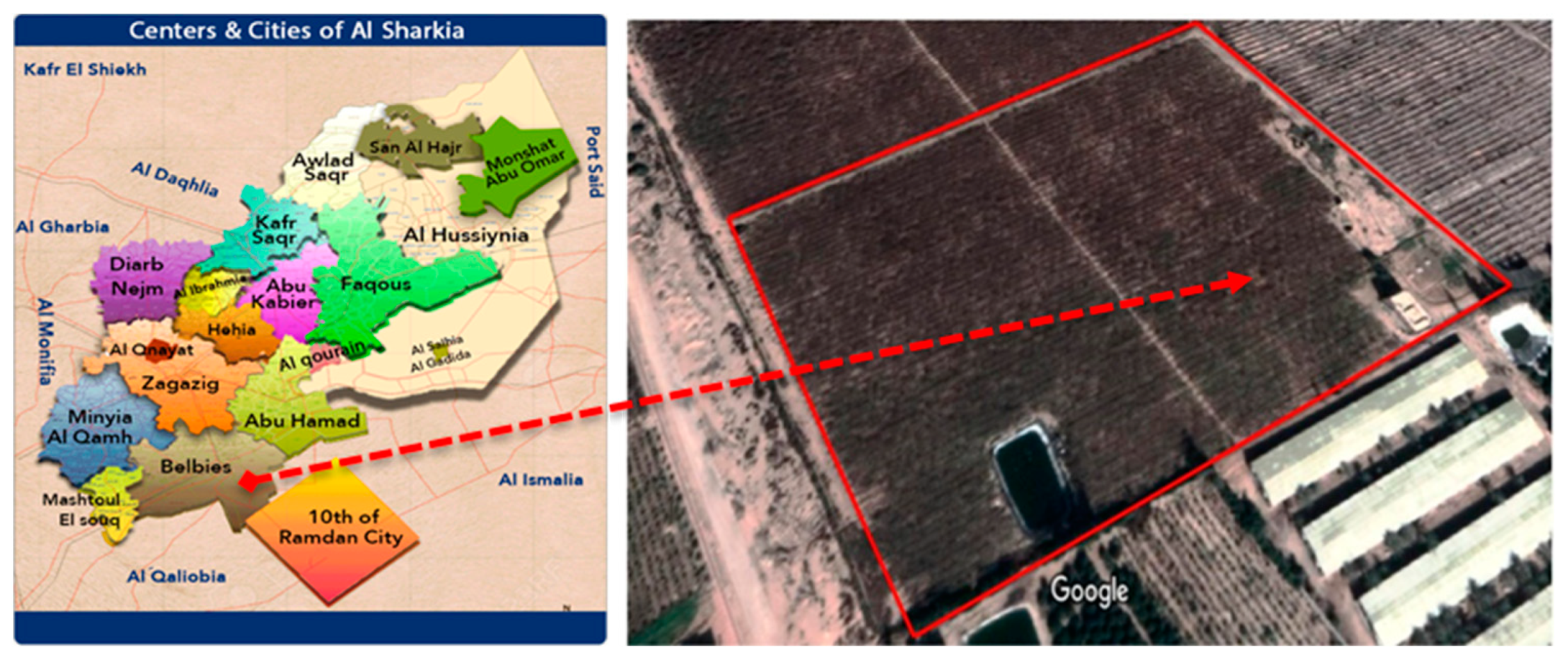 Agronomy 13 01652 g001