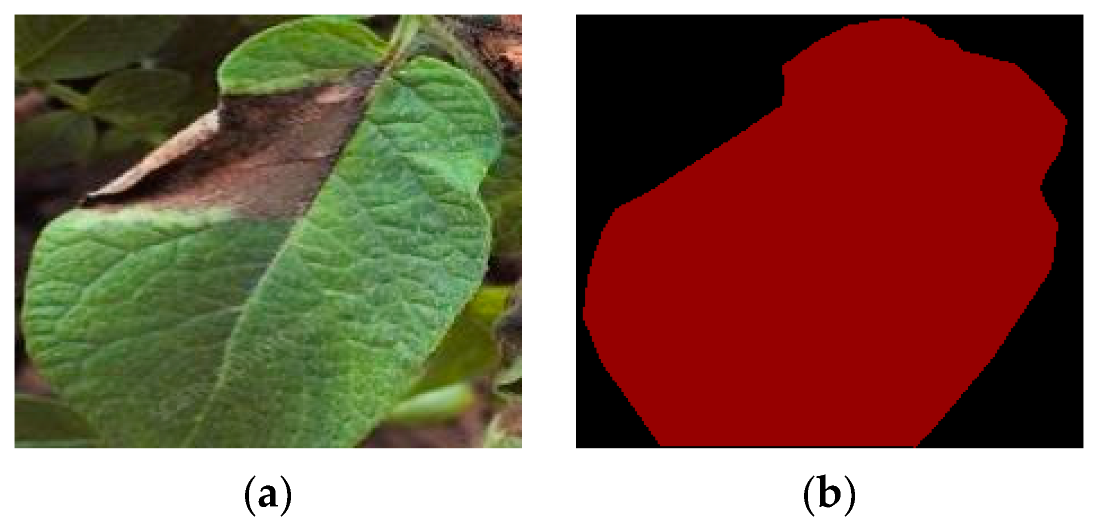 Agronomy 13 01659 g002