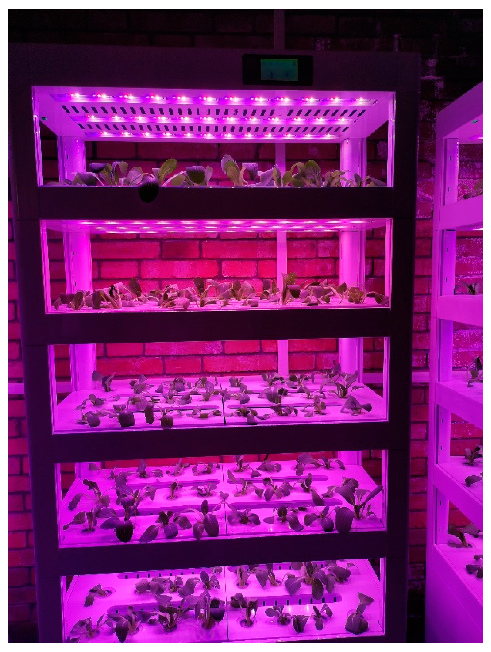 Agronomy 13 01667 g001