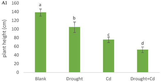 Agronomy 13 01675 g001a Agronomy 13 01675 g001a