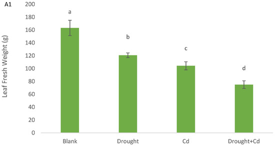 Agronomy 13 01675 g002a Agronomy 13 01675 g002a