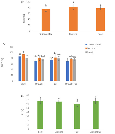 Agronomy 13 01675 g003b Agronomy 13 01675 g003b