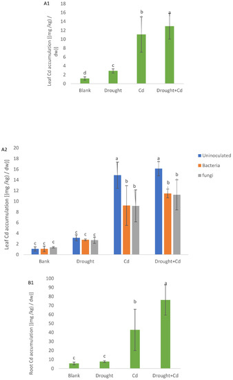 Agronomy 13 01675 g009a Agronomy 13 01675 g009a