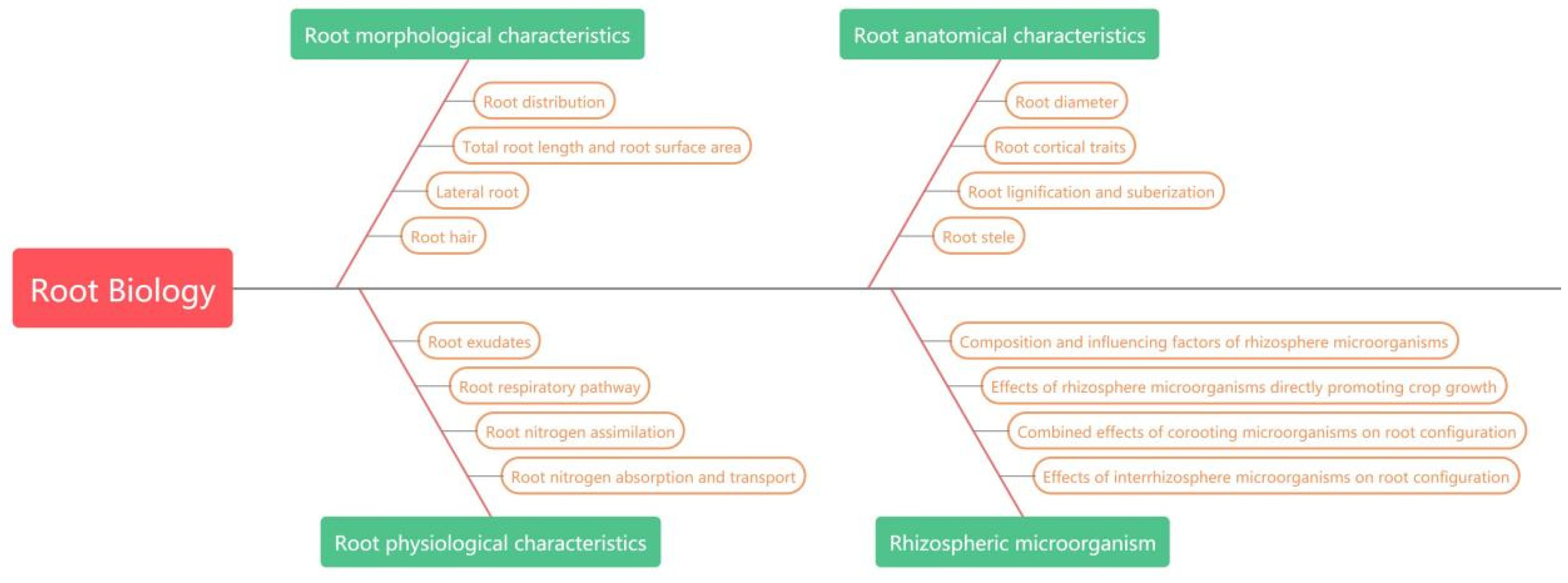 Agronomy 13 01678 g001
