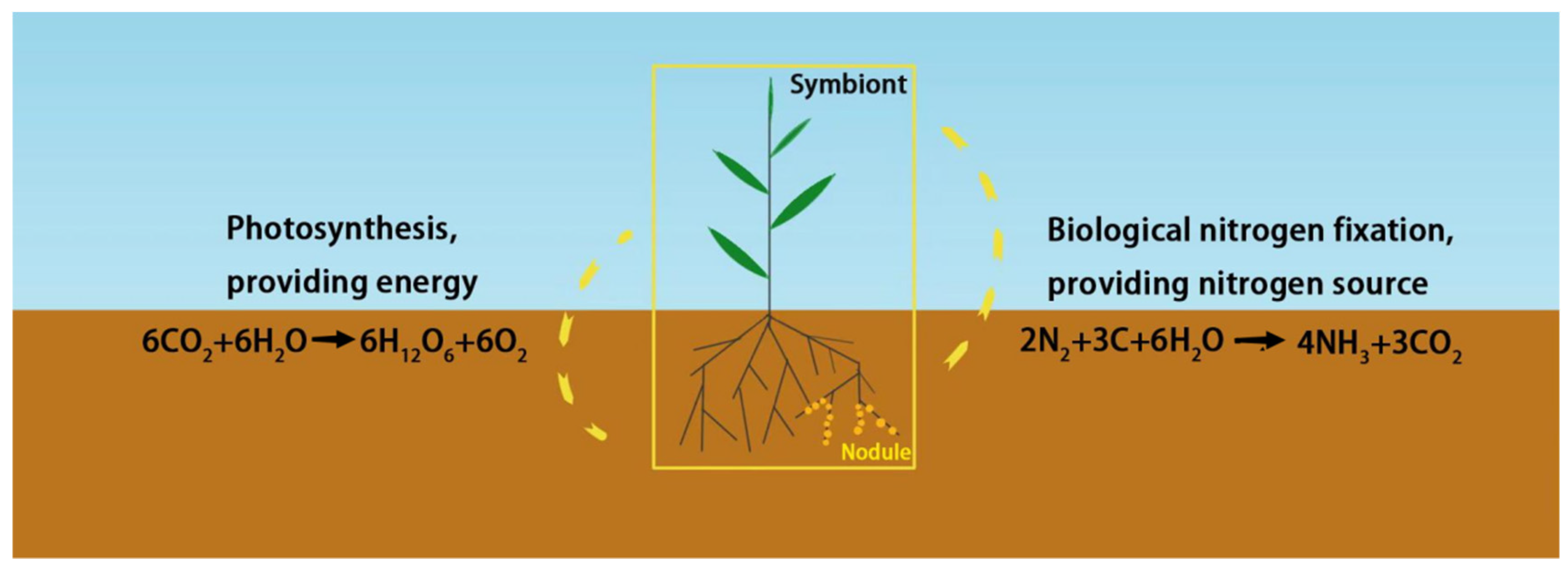 Agronomy 13 01678 g003