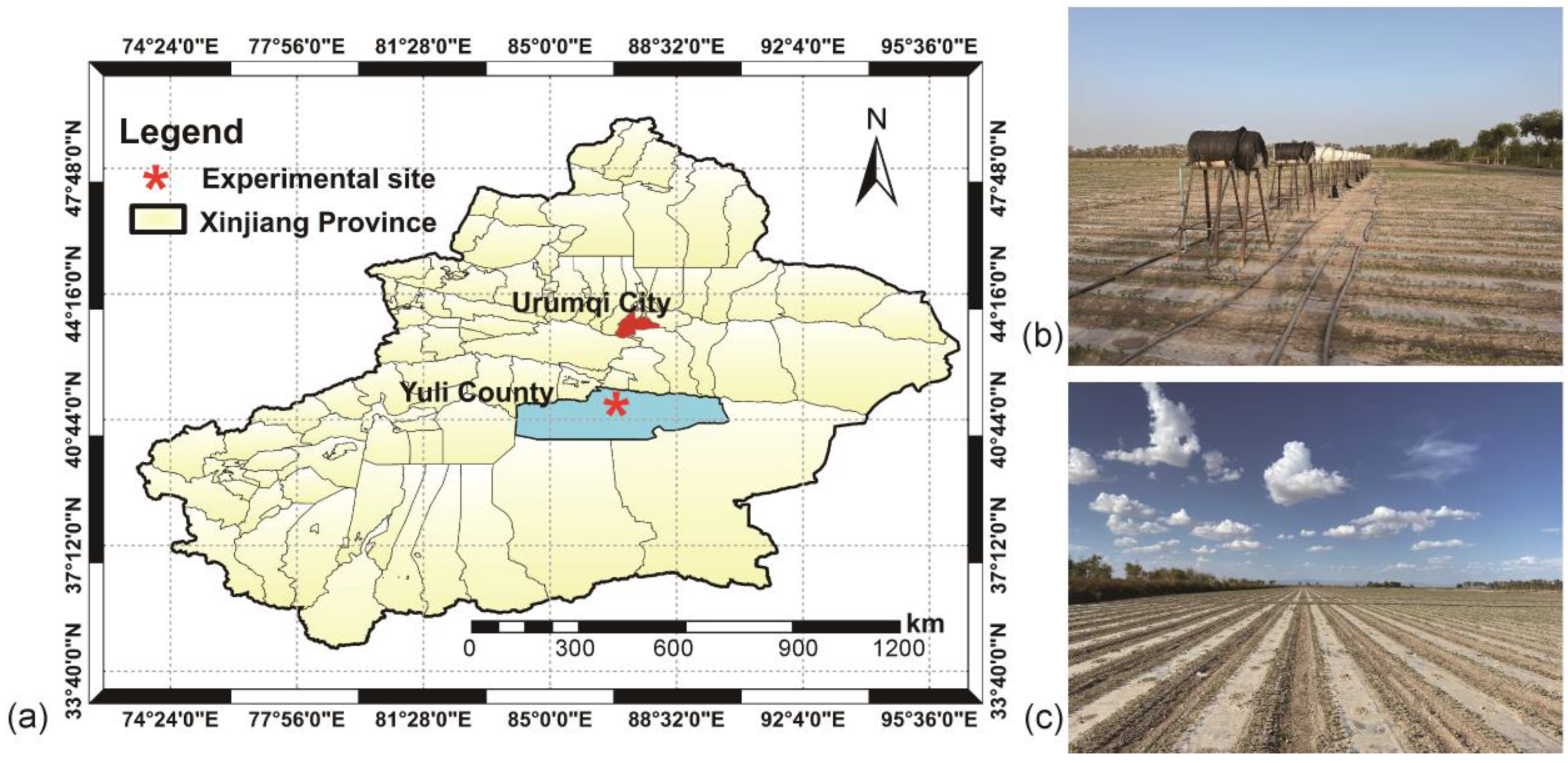 Agronomy 13 01679 g001