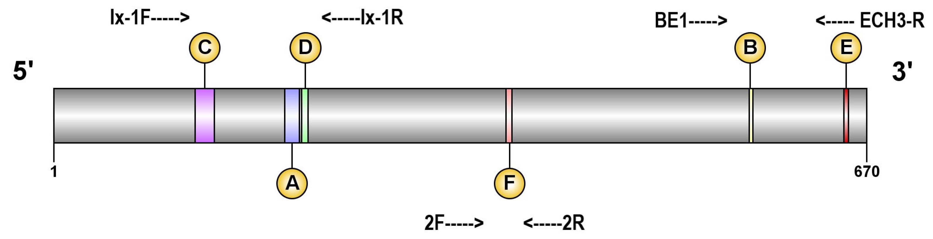 Agronomy 13 01682 g001