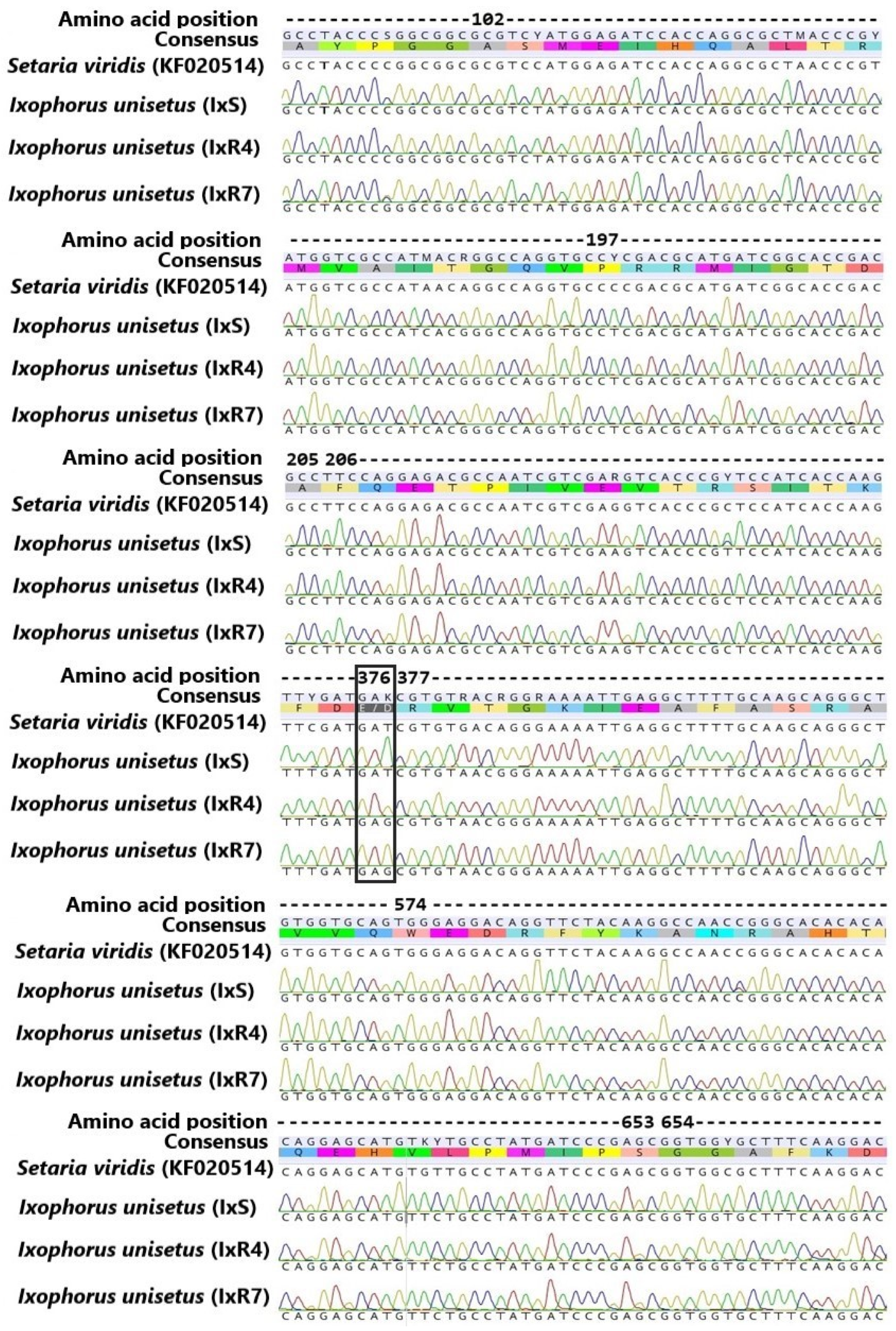 Agronomy 13 01682 g005