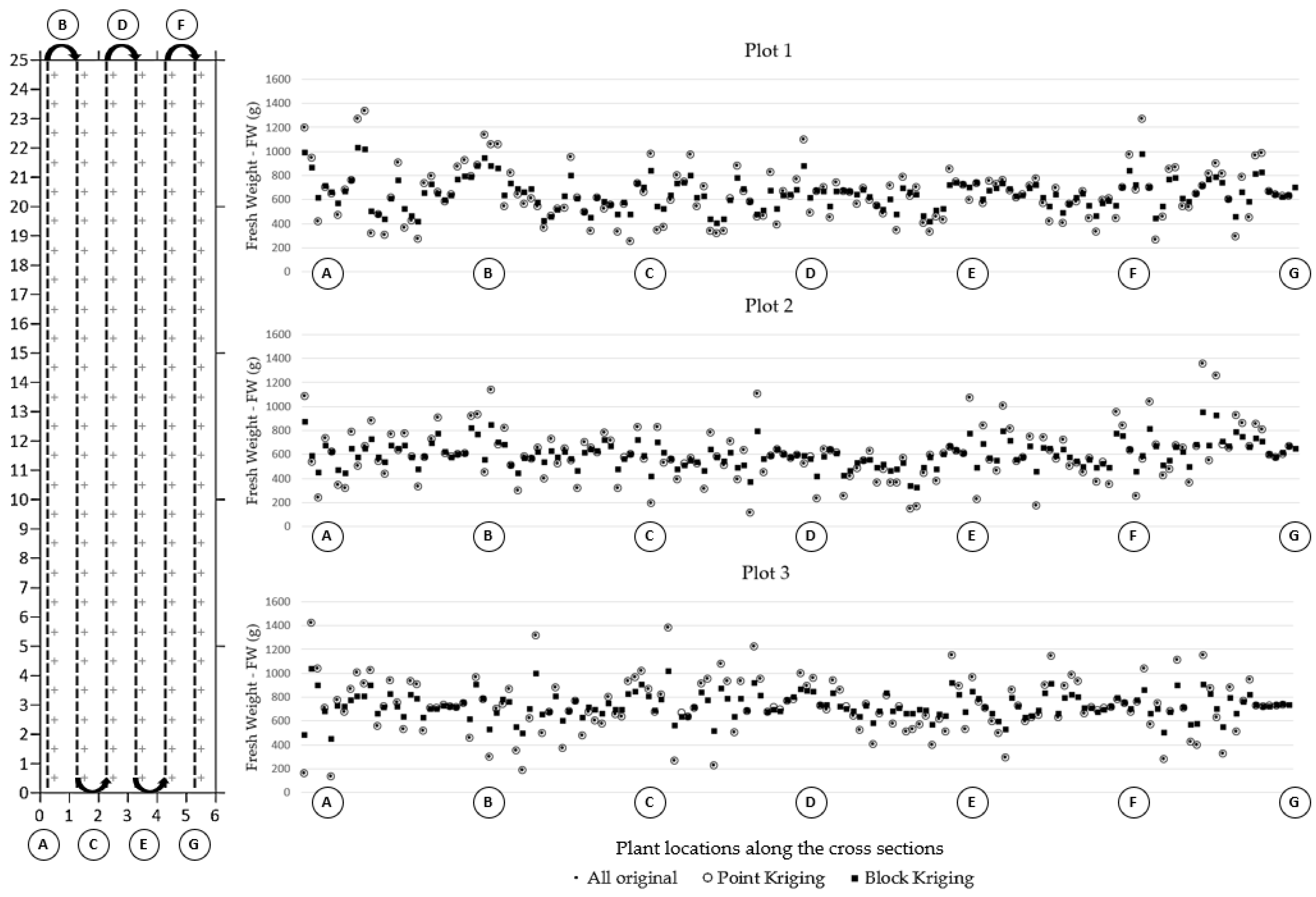 Agronomy 13 01685 g004