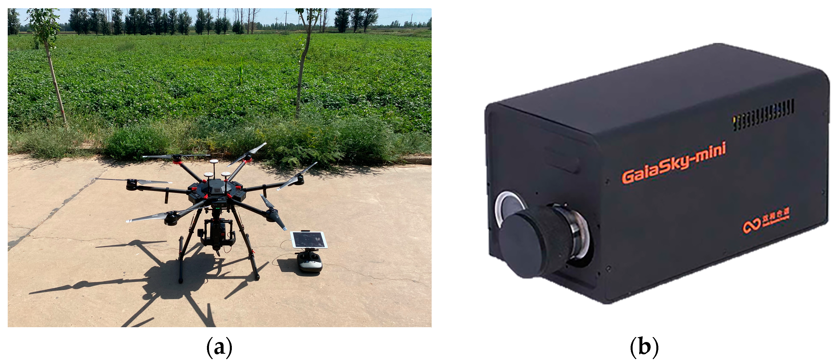 Agronomy 13 01693 g002