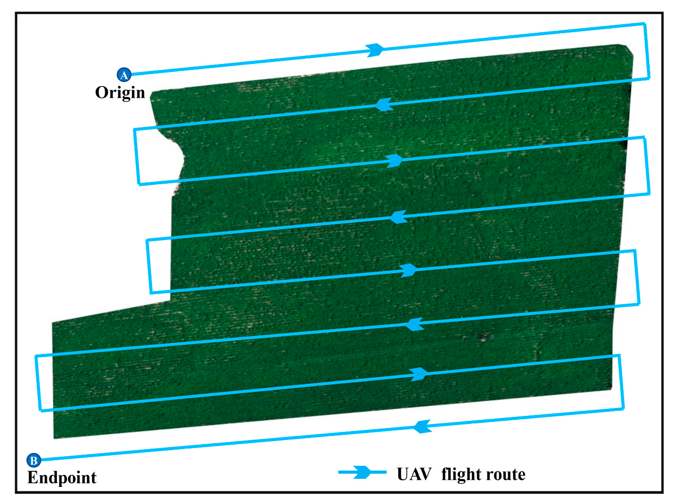 Agronomy 13 01693 g003