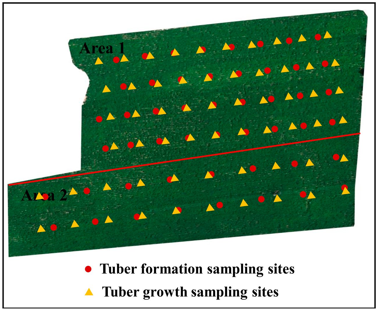Agronomy 13 01693 g004