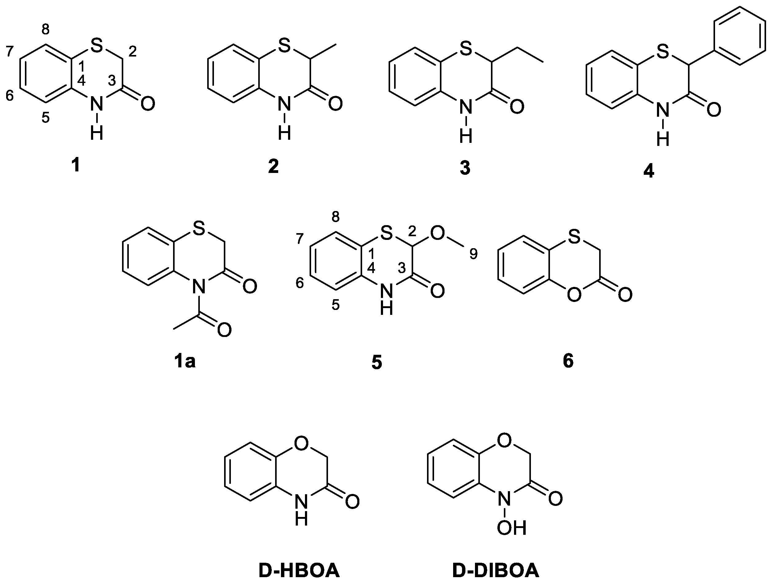Agronomy 13 01694 g002