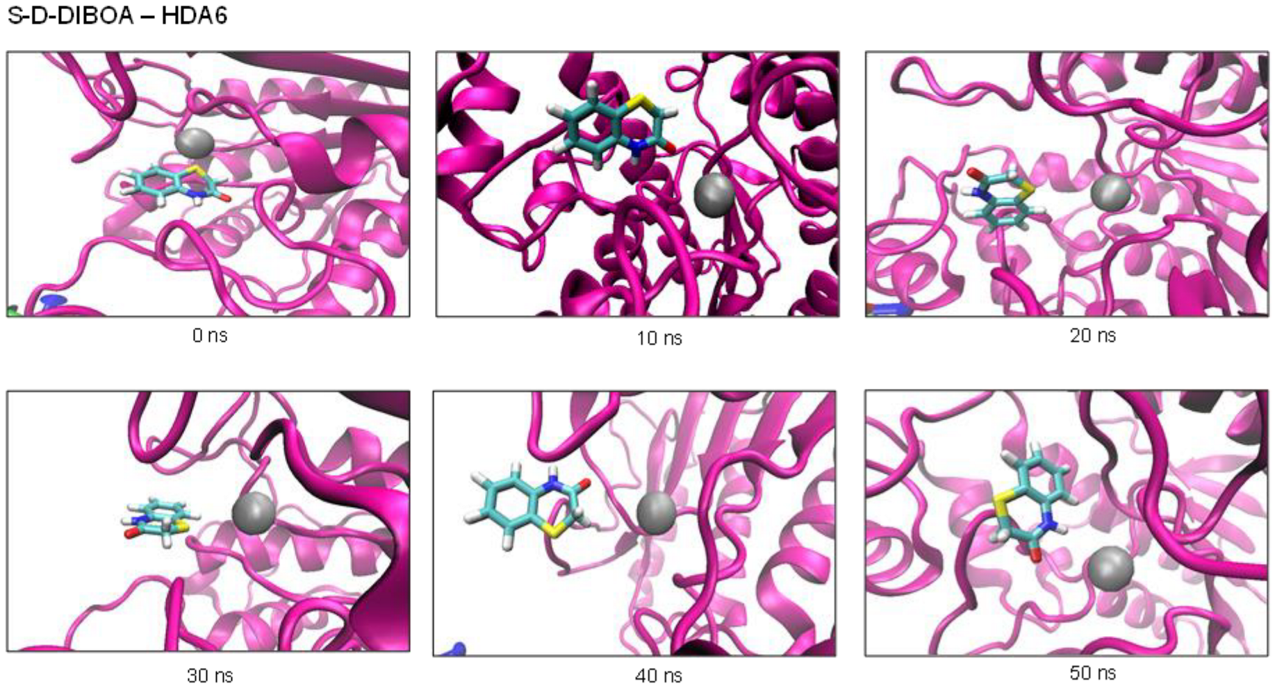 Agronomy 13 01694 g006