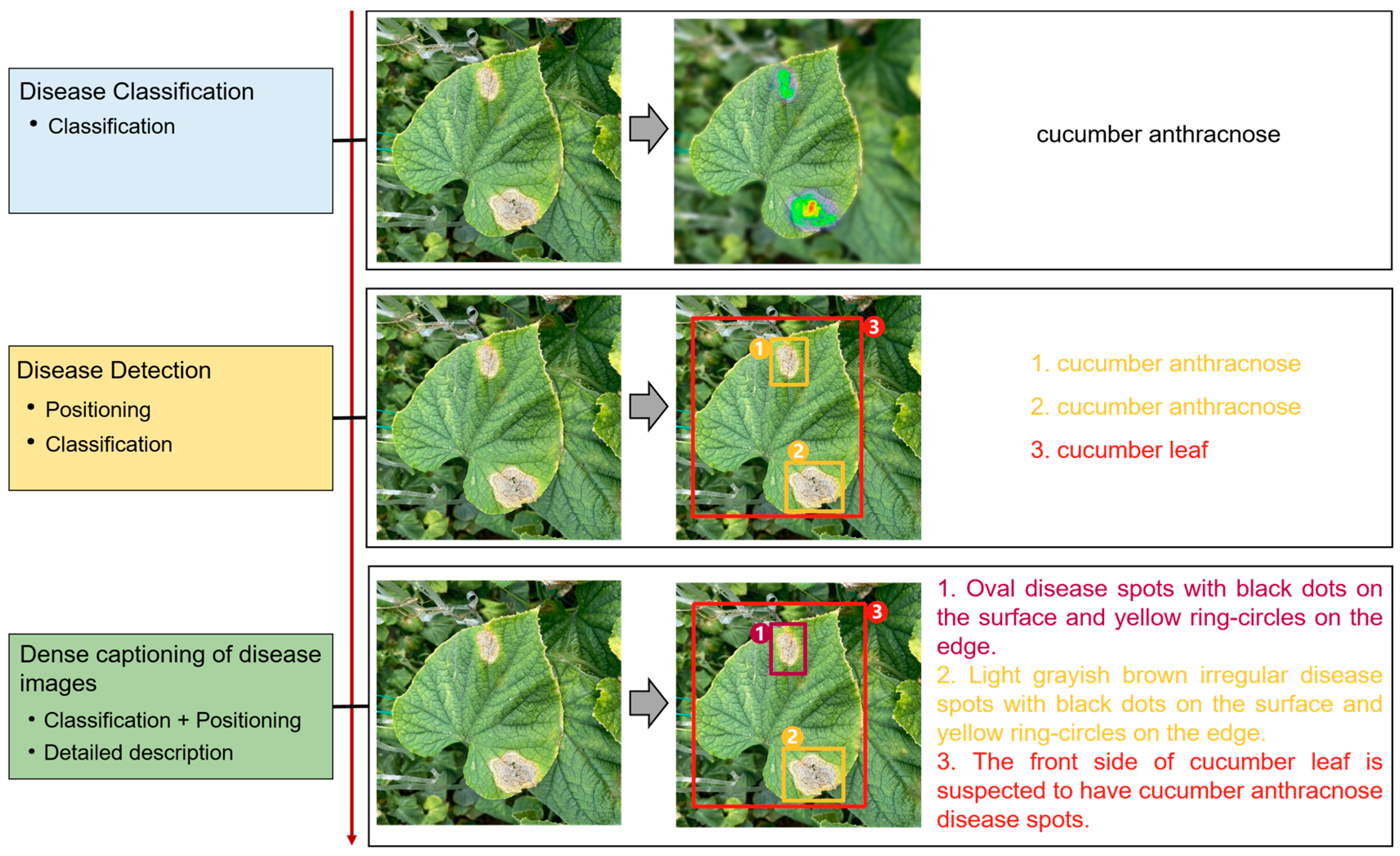 Agronomy 13 01700 g001