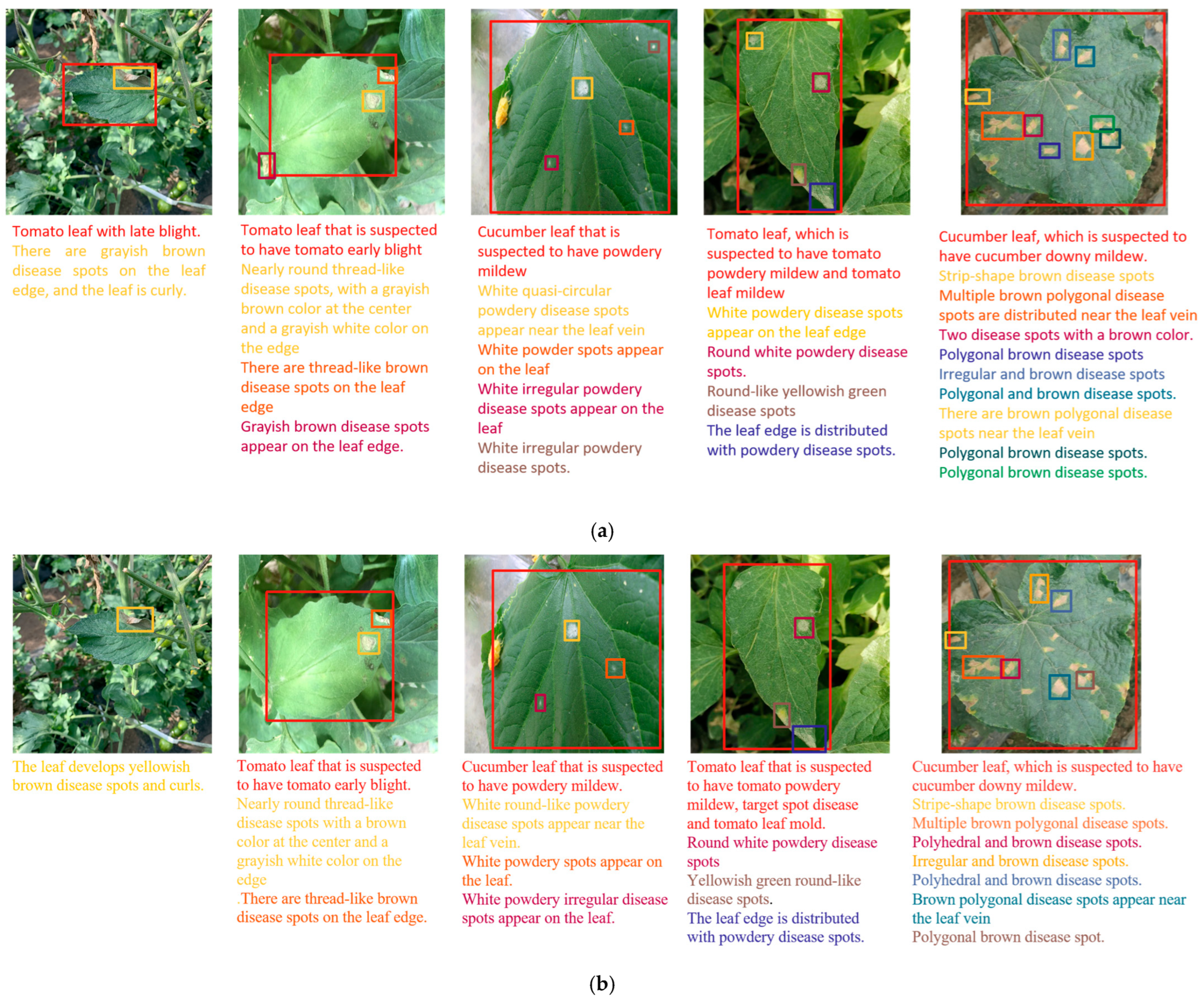 Agronomy 13 01700 g007a