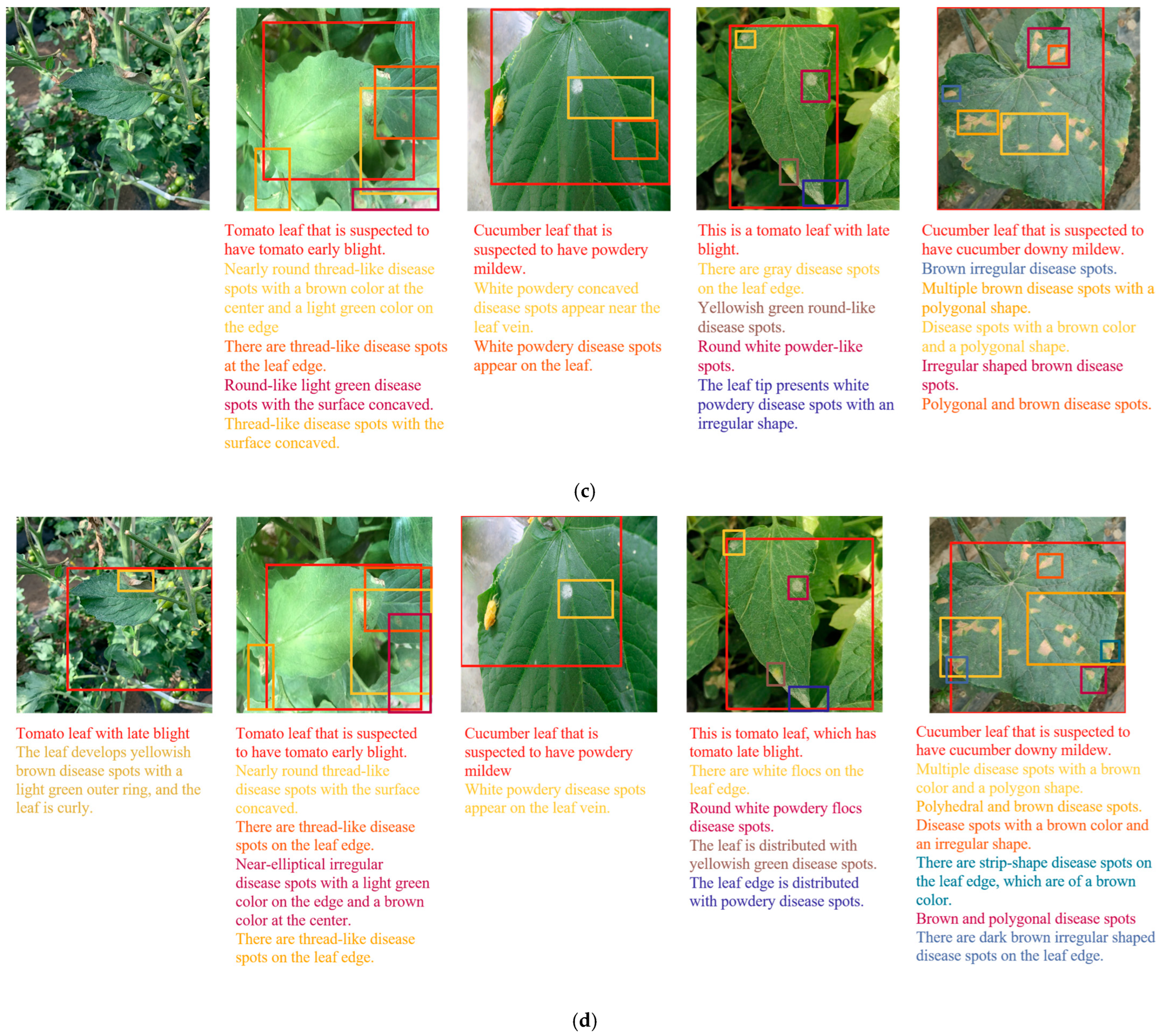Agronomy 13 01700 g007b