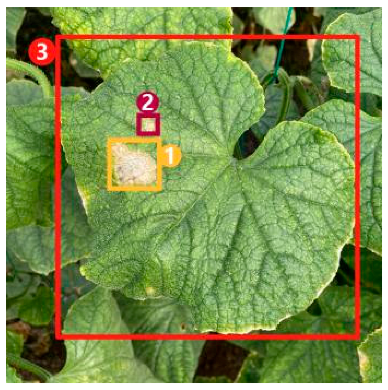 Agronomy 13 01700 i006