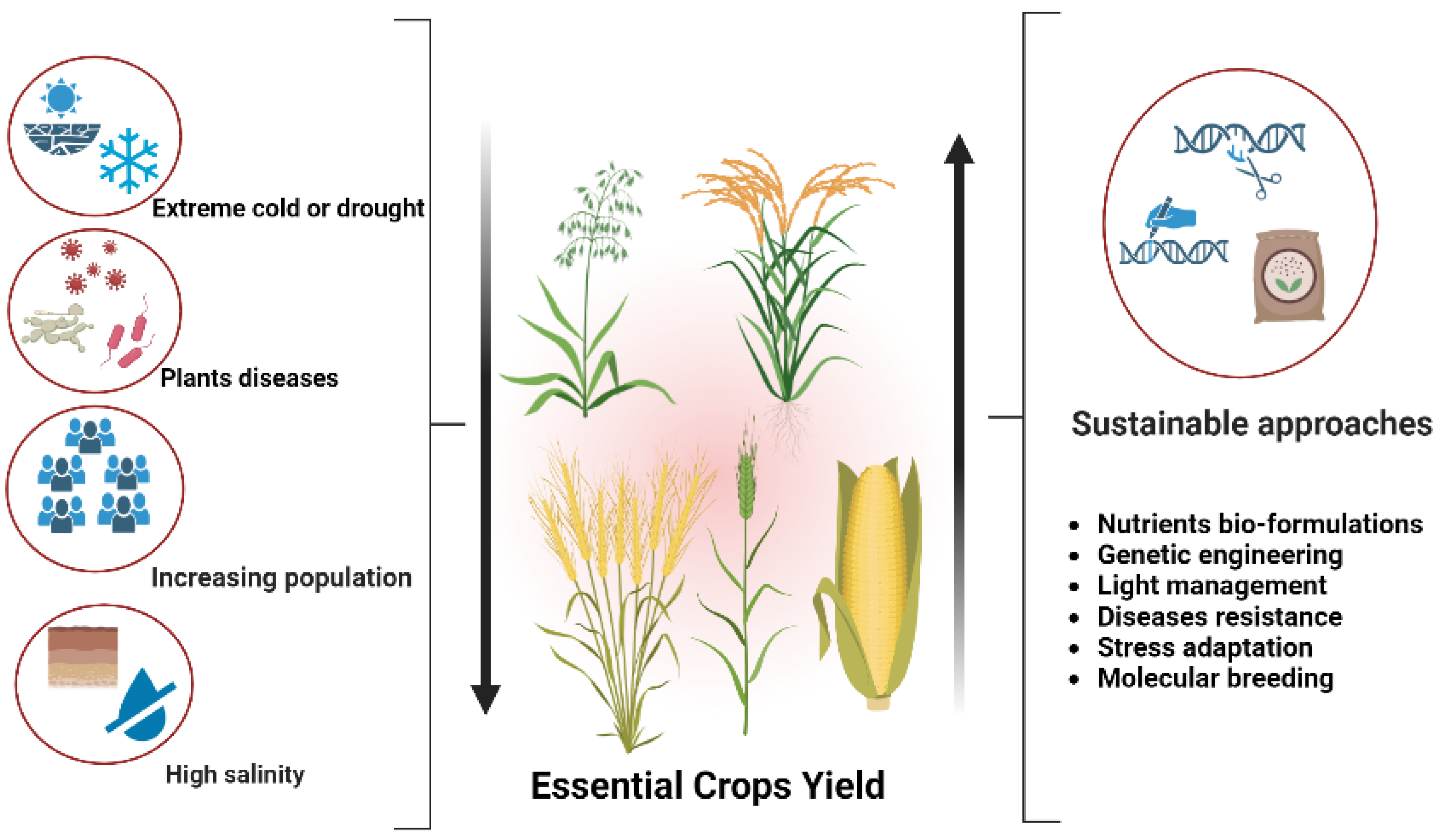 Agronomy 13 01709 g001 Agronomy 13 01709 g001