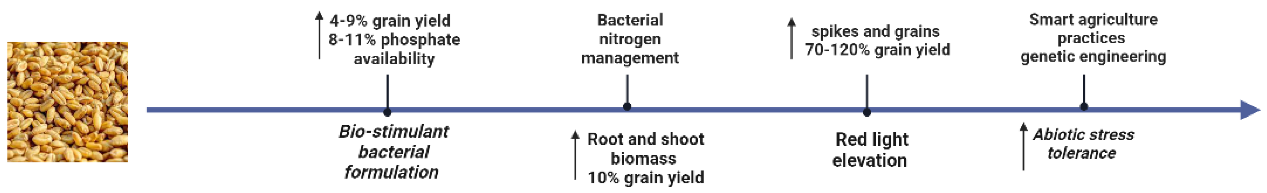 Agronomy 13 01709 g002 Agronomy 13 01709 g002