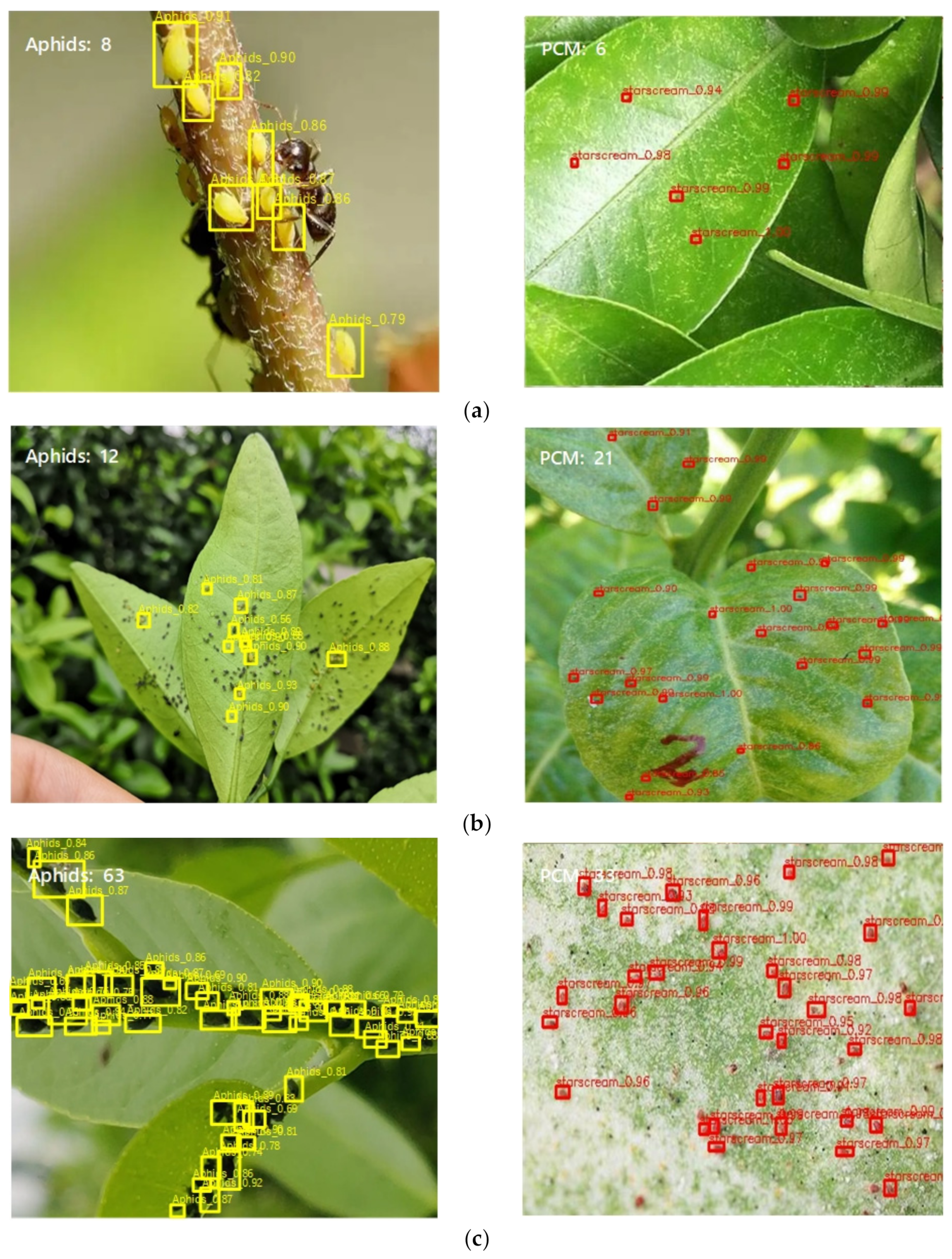 Agronomy 13 01710 g012 Agronomy 13 01710 g012