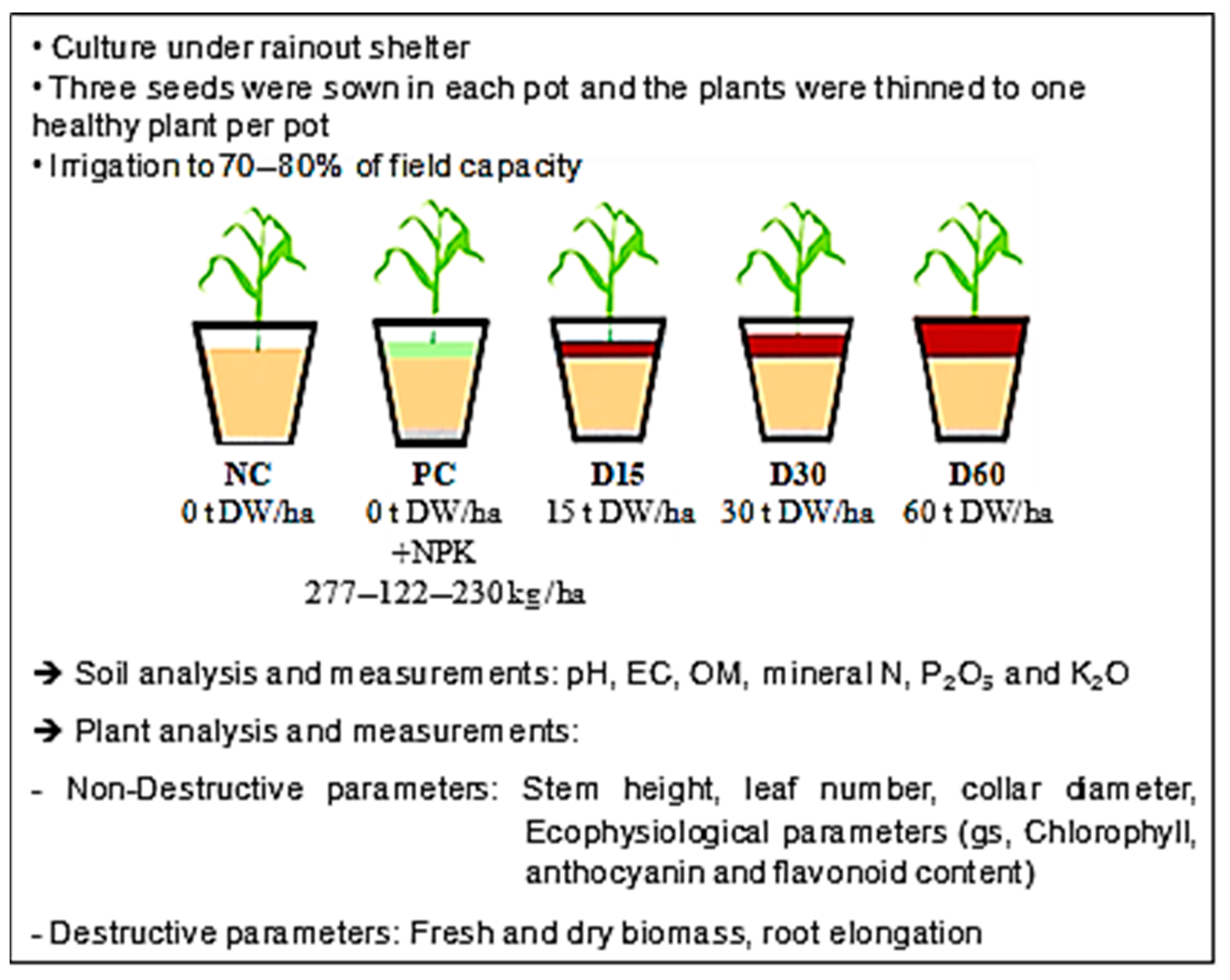 Agronomy 13 01715 g001