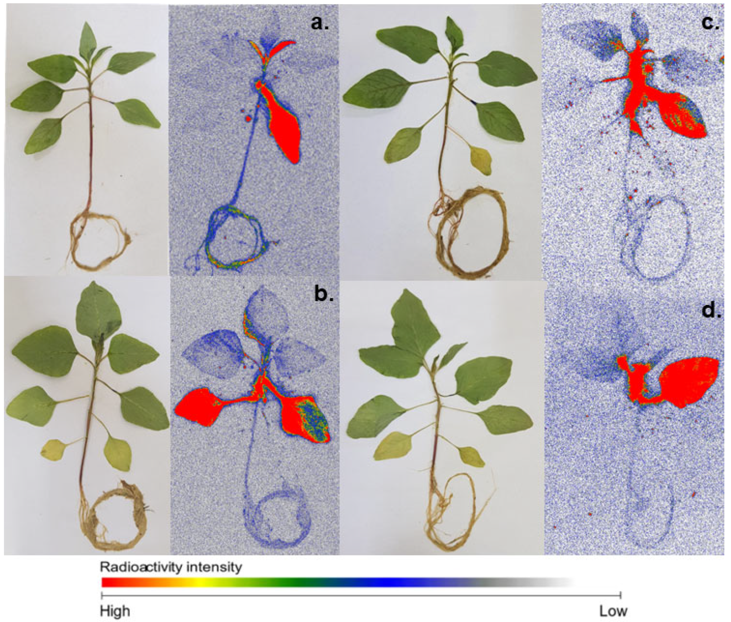 Agronomy 13 01720 g003