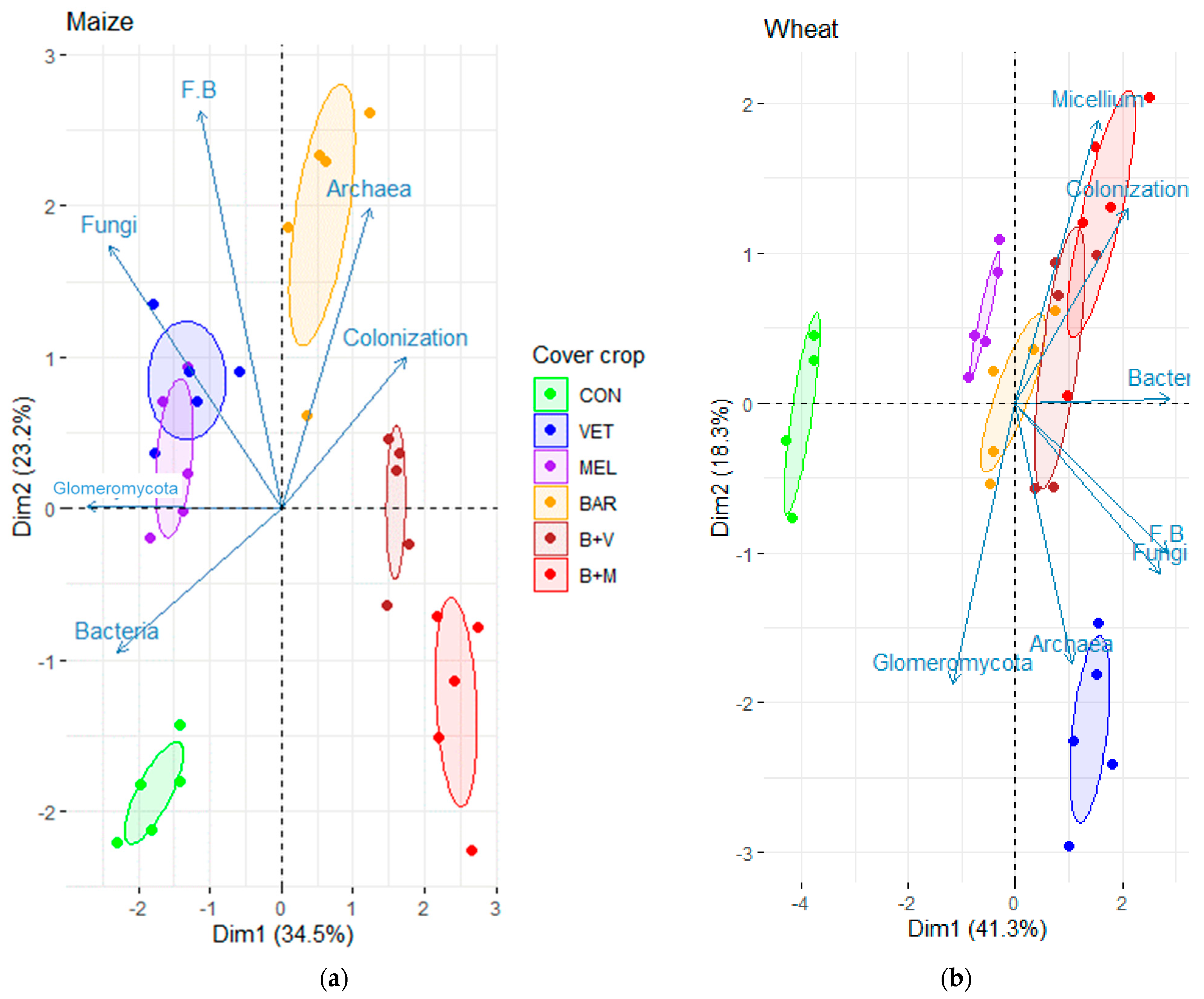 Agronomy 13 01721 g001
