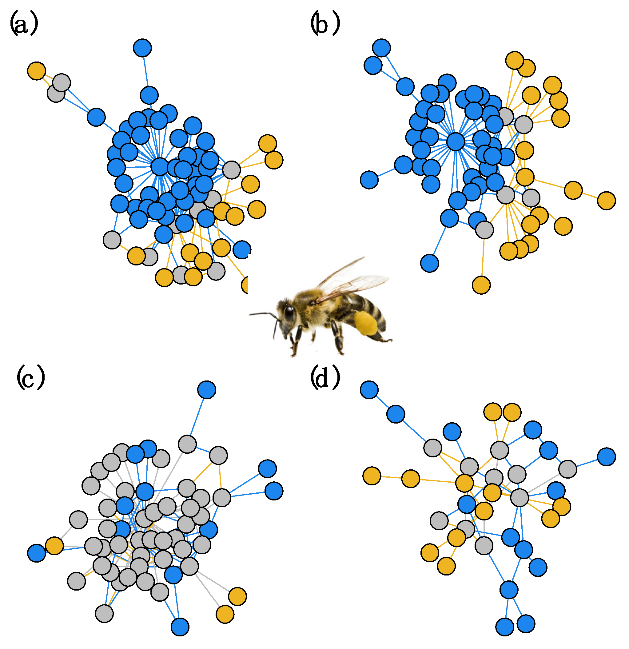 Agronomy 13 01722 g002