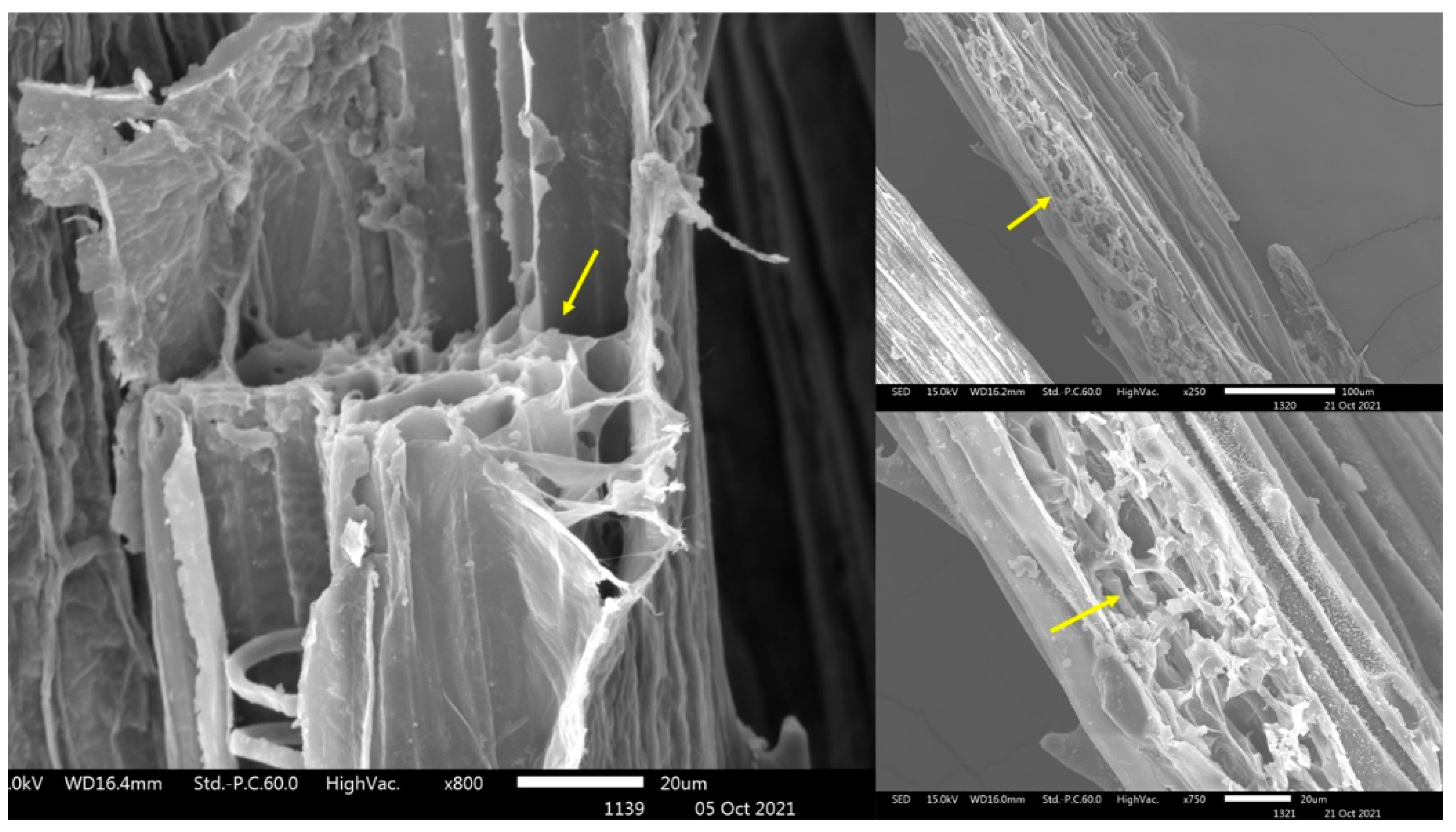 Agronomy 13 01725 g003