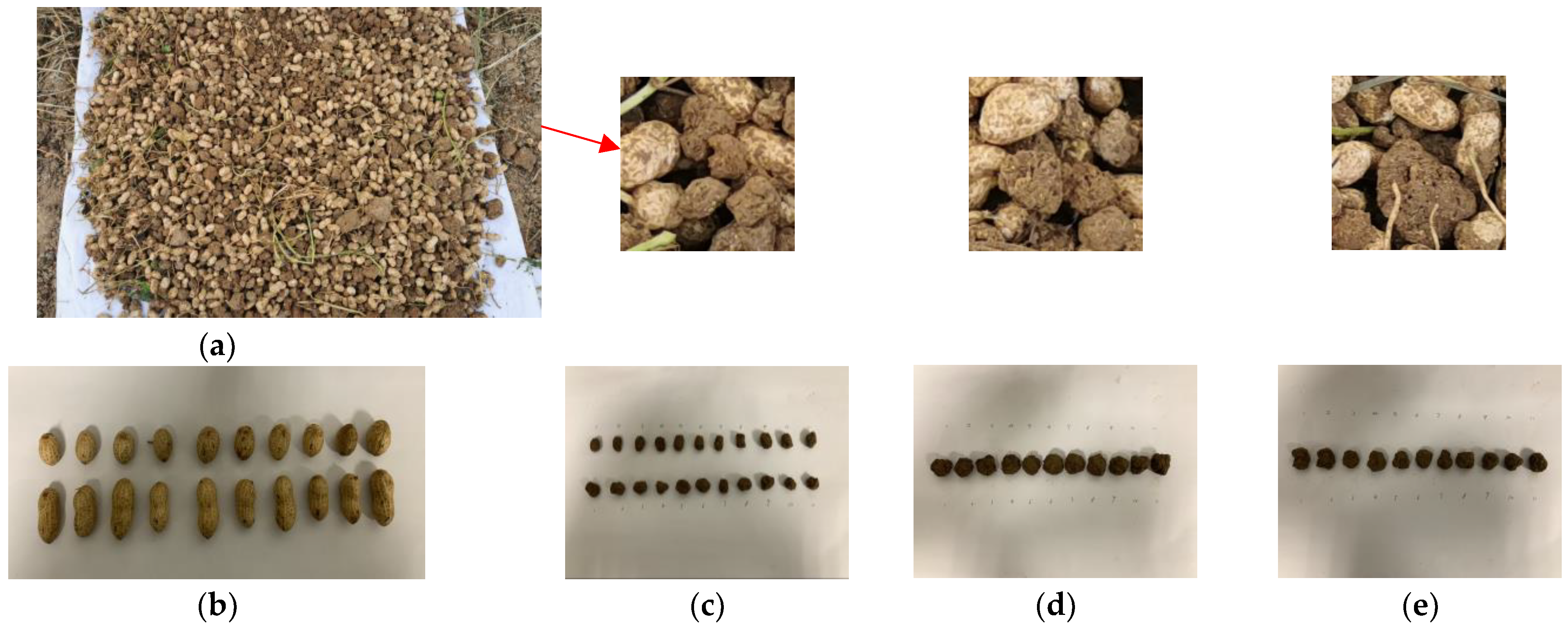 Agronomy 13 01735 g002