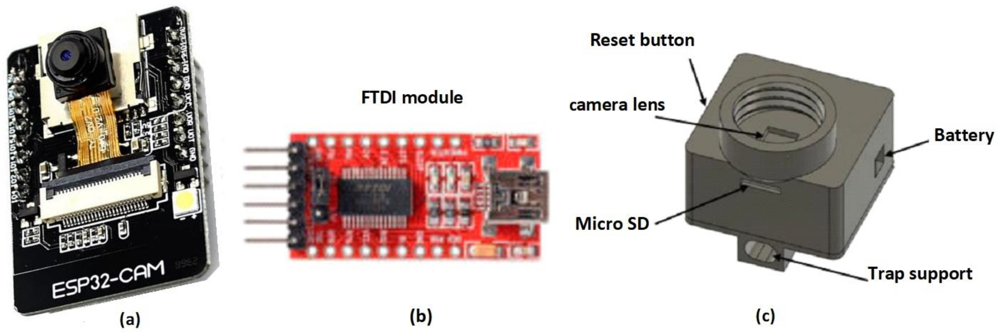 Agronomy 13 01736 g002