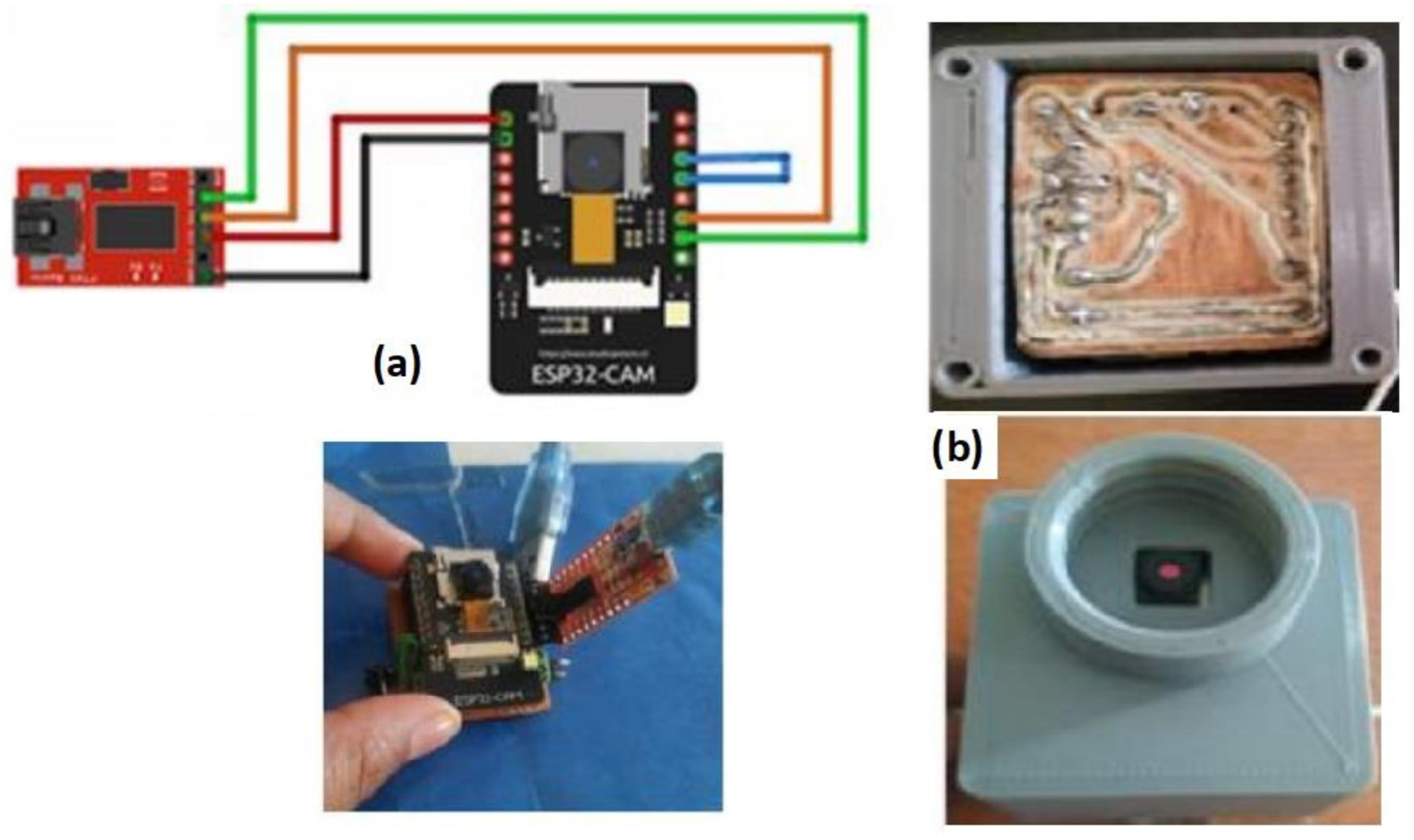 Agronomy 13 01736 g003