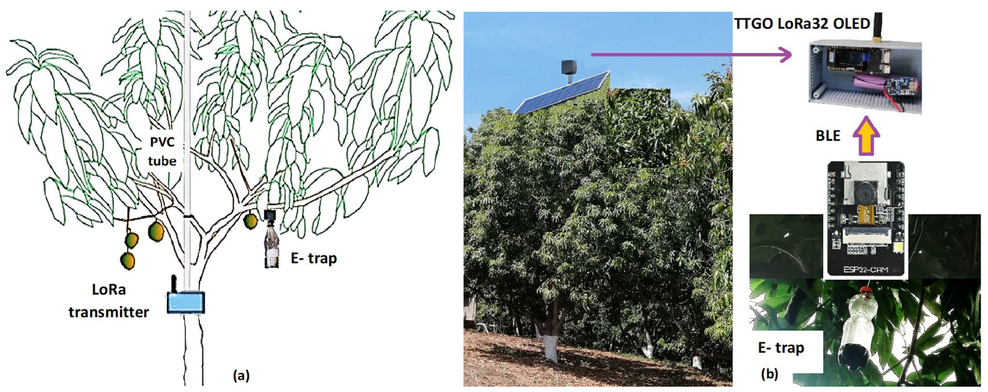 Agronomy 13 01736 g005