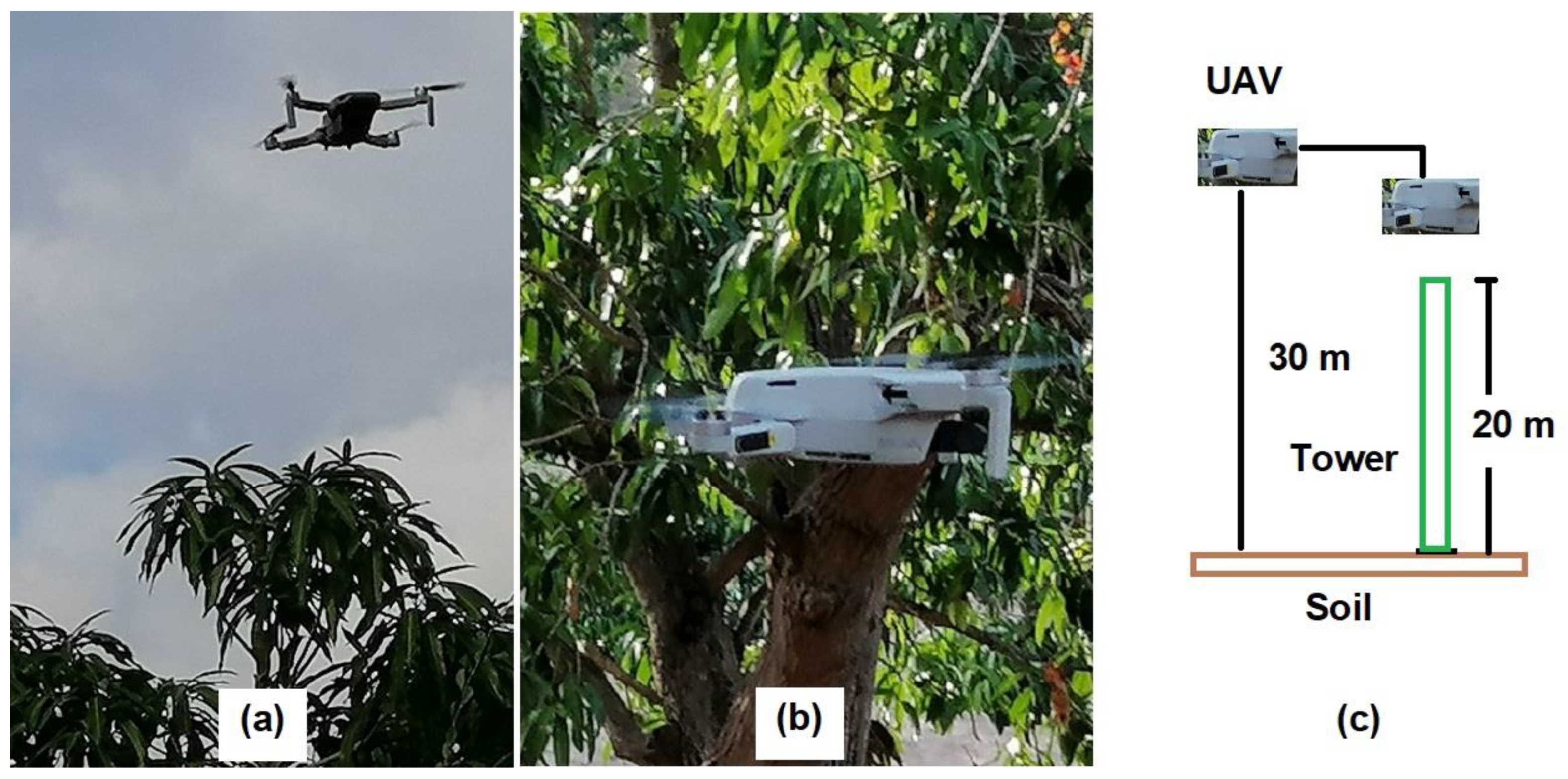 Agronomy 13 01736 g012