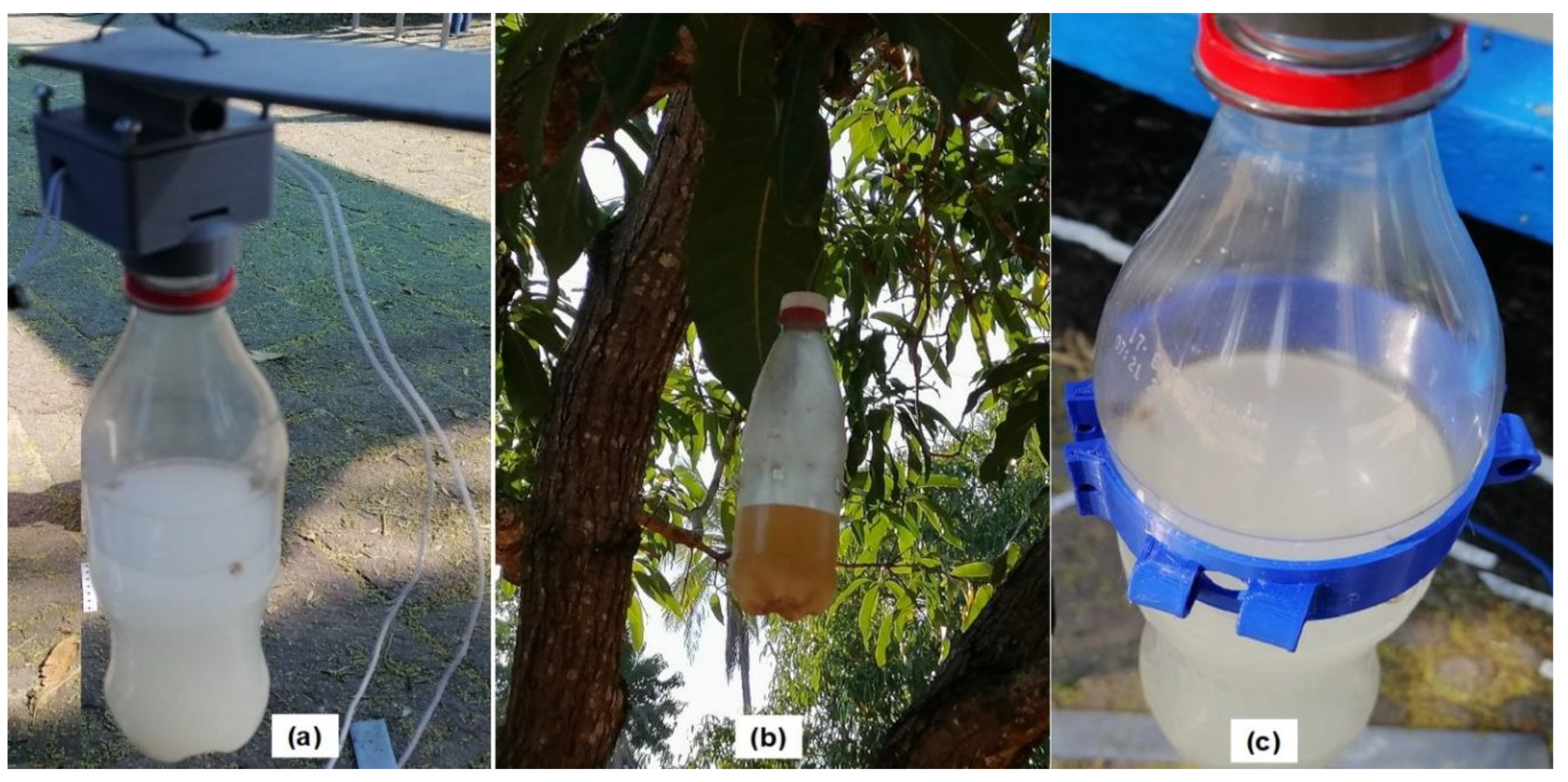 Agronomy 13 01736 g014