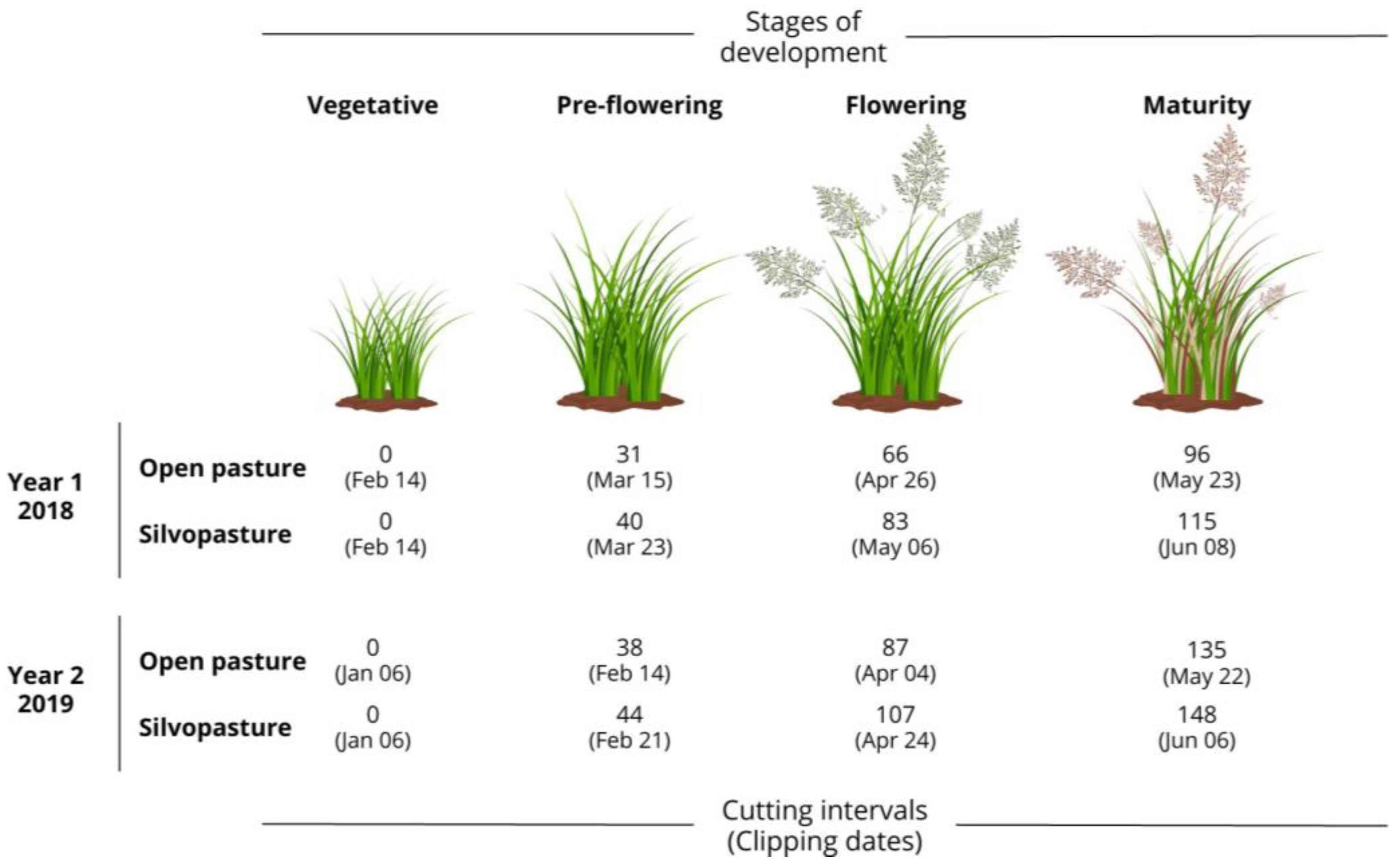 Agronomy 13 01756 g002