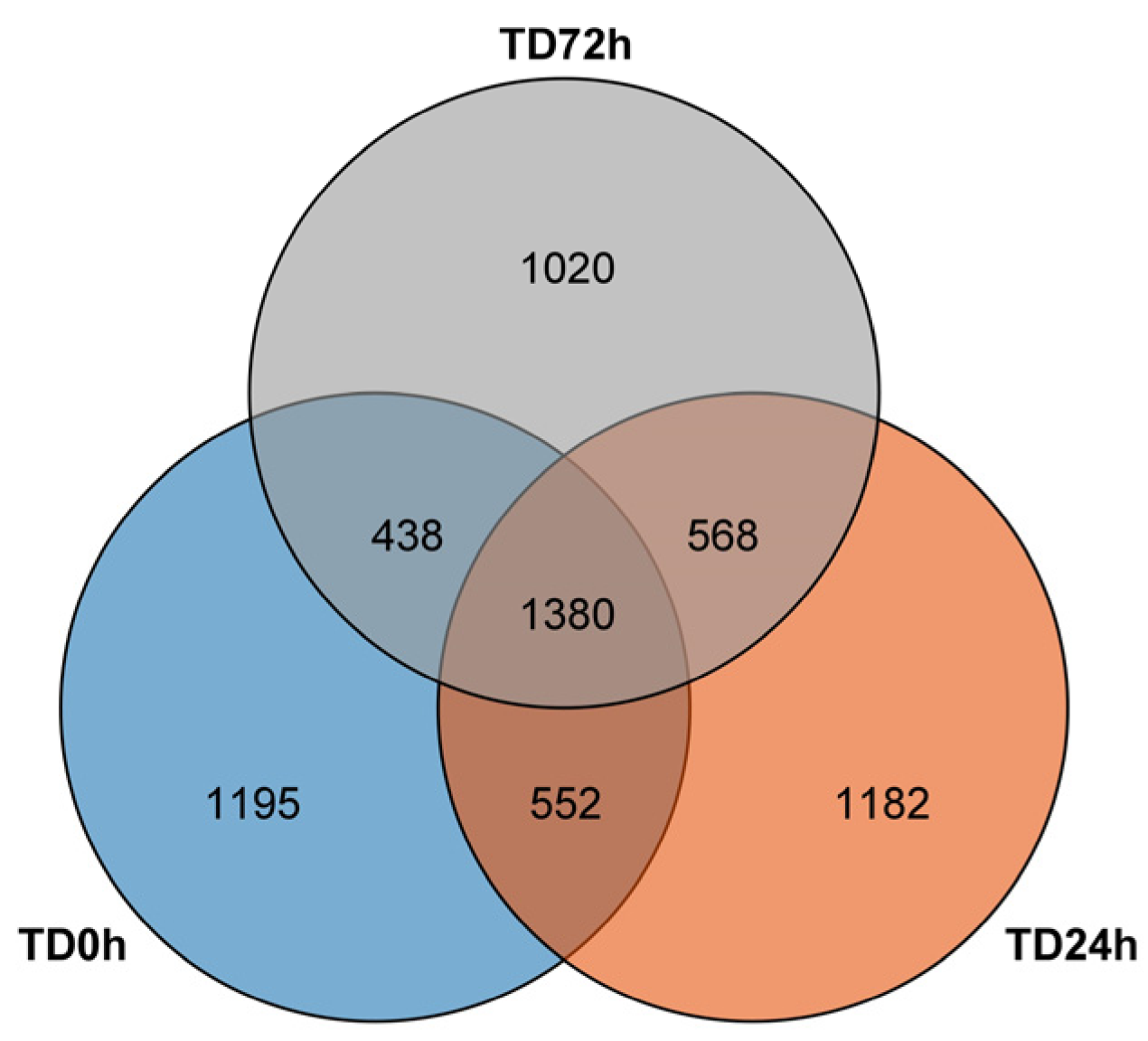 Agronomy 13 01763 g003