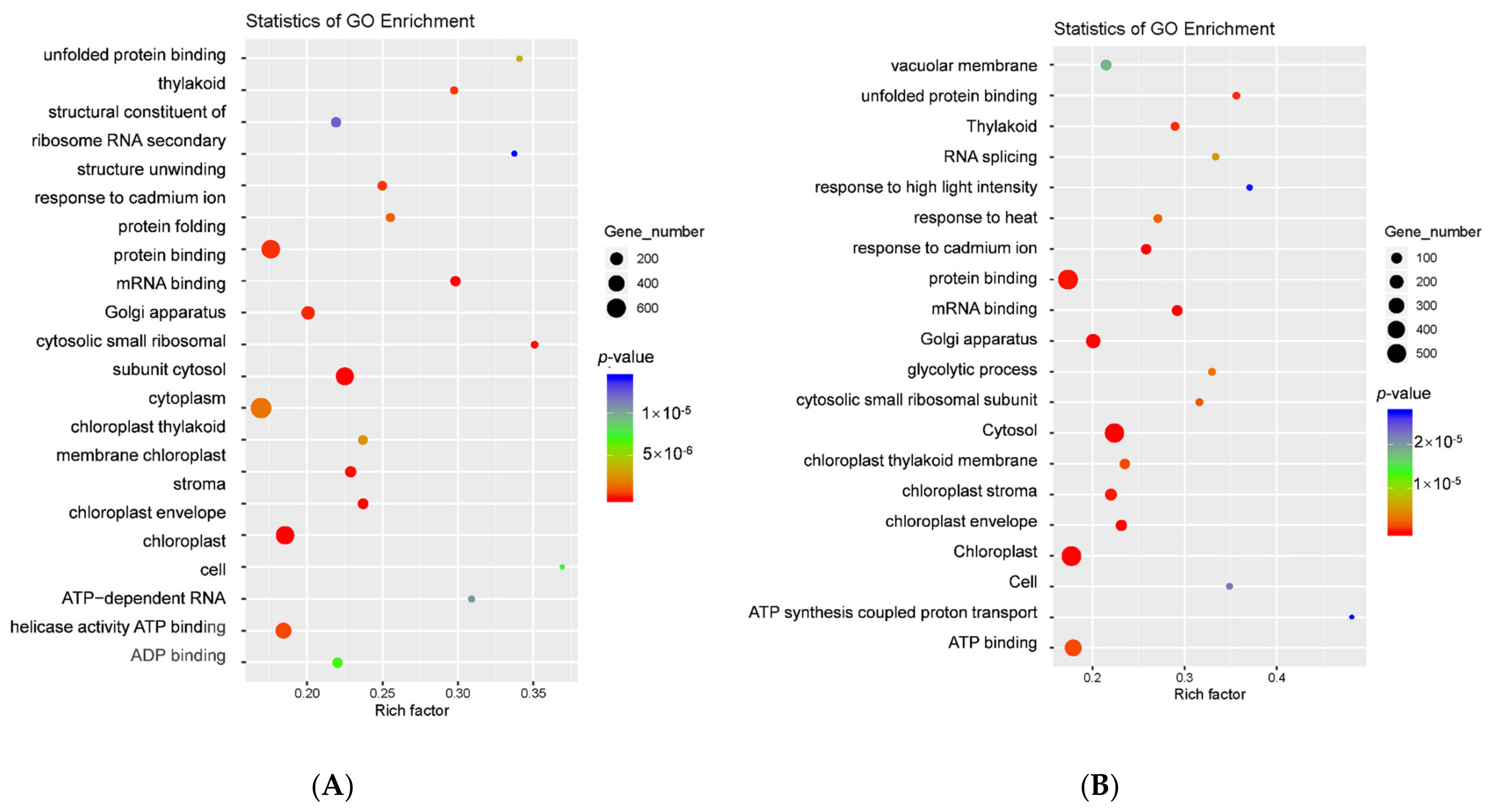 Agronomy 13 01763 g004